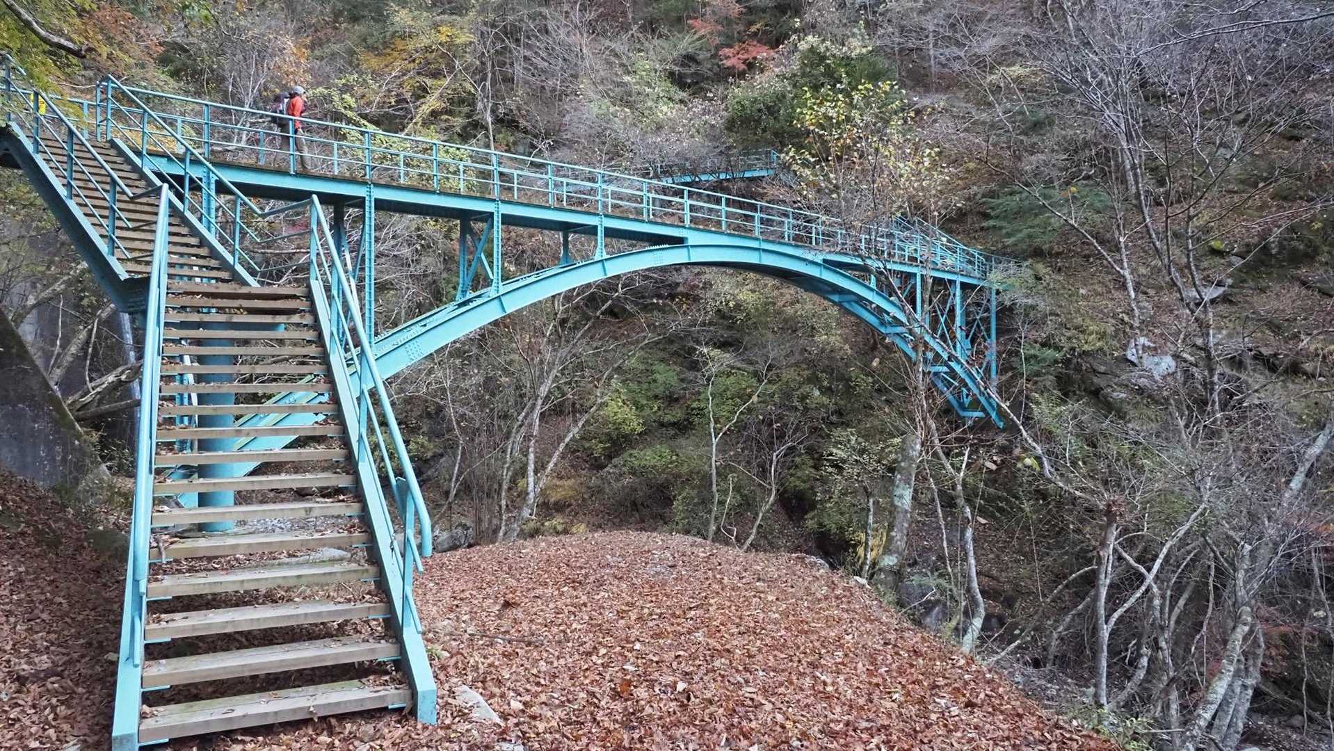 西丹沢縦走（西丹沢VC〜犬越路〜檜洞丸〜箒沢橋） の写真 5