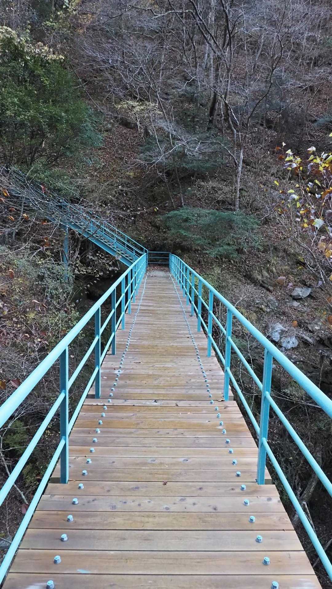 西丹沢縦走（西丹沢VC〜犬越路〜檜洞丸〜箒沢橋） の写真 6