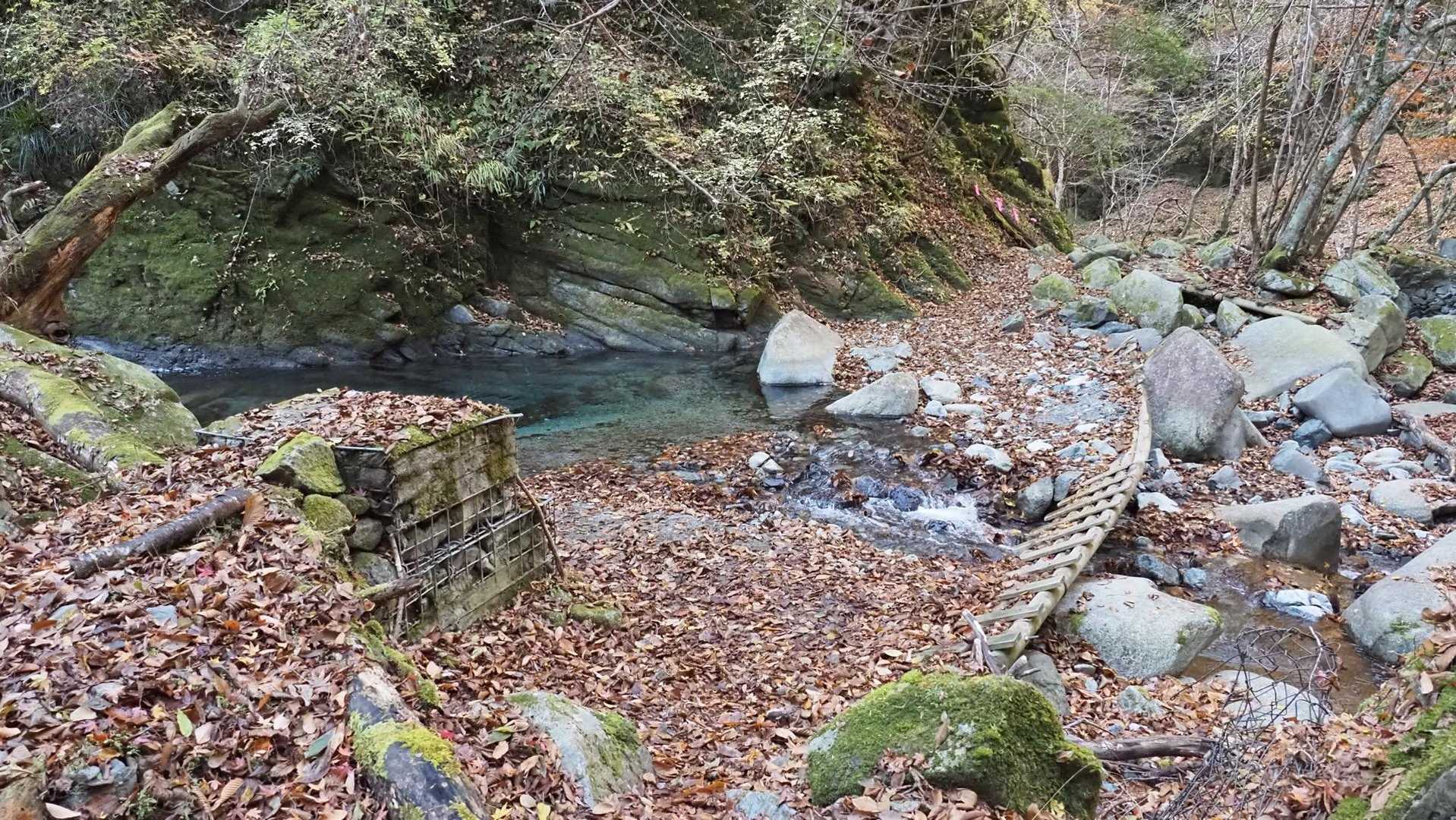西丹沢縦走（西丹沢VC〜犬越路〜檜洞丸〜箒沢橋） の写真 7