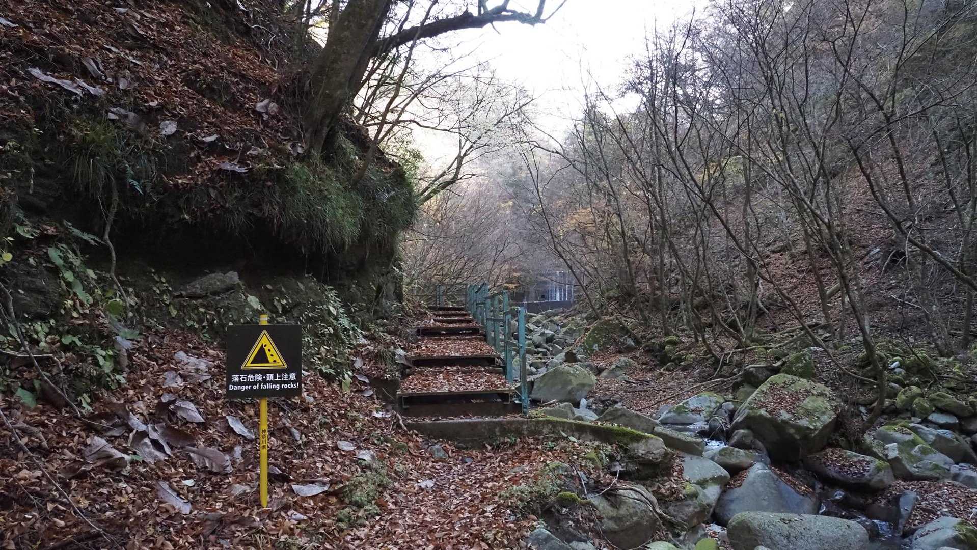 西丹沢縦走（西丹沢VC〜犬越路〜檜洞丸〜箒沢橋） の写真 8