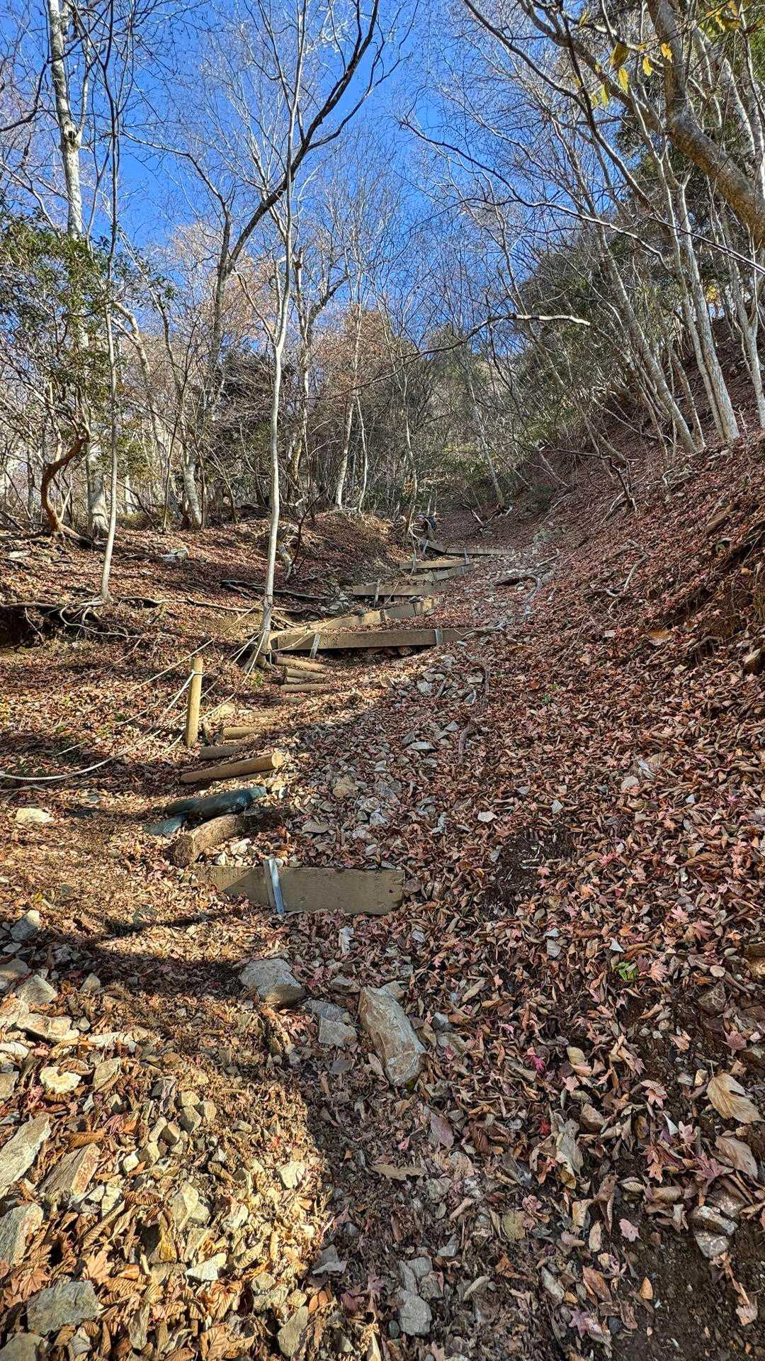 西丹沢縦走（西丹沢VC〜犬越路〜檜洞丸〜箒沢橋） の写真 11