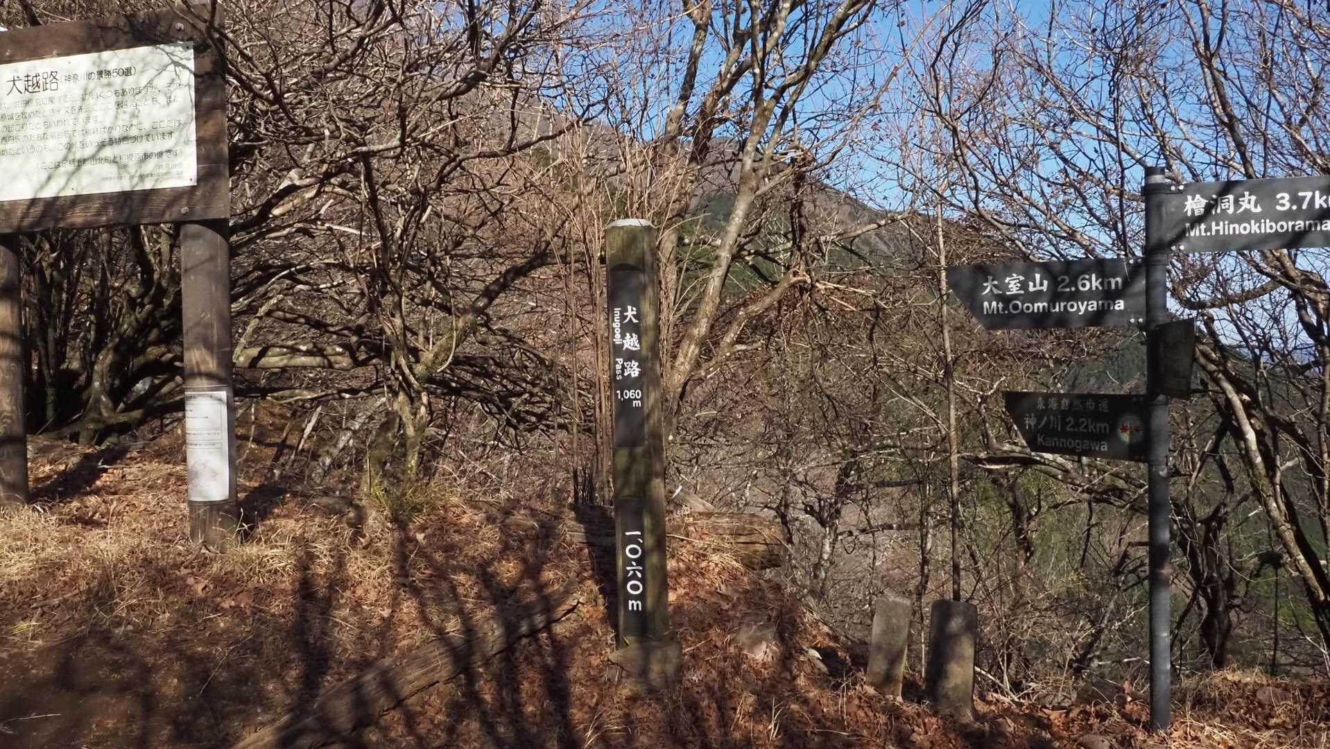 西丹沢縦走（西丹沢VC〜犬越路〜檜洞丸〜箒沢橋） の写真 14