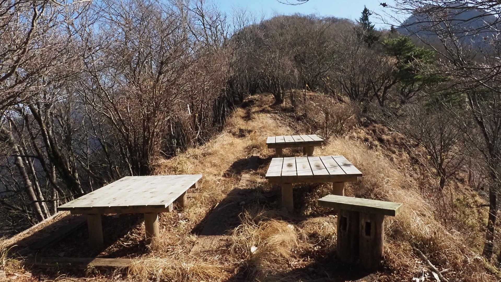 西丹沢縦走（西丹沢VC〜犬越路〜檜洞丸〜箒沢橋） の写真 15