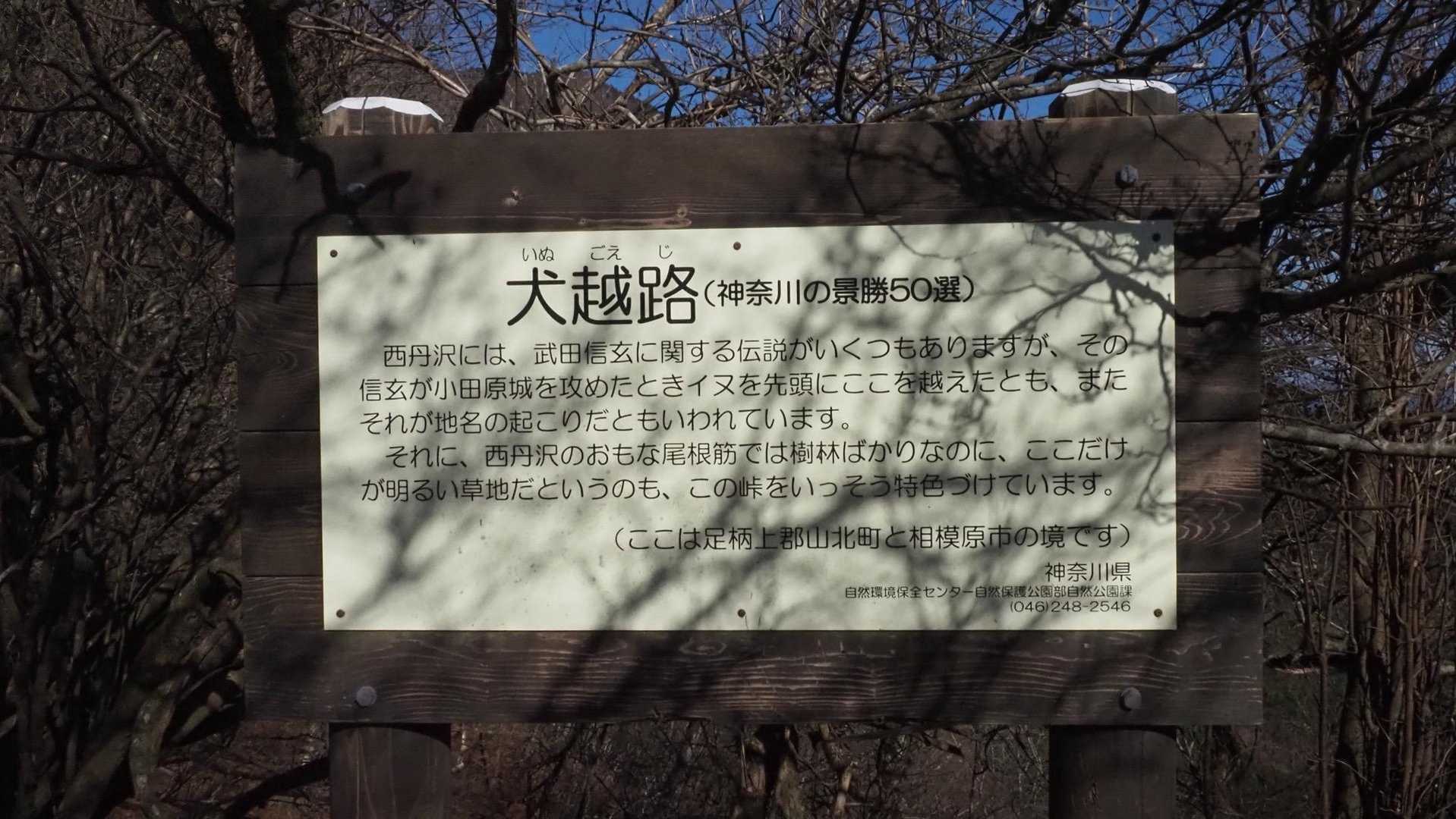 西丹沢縦走（西丹沢VC〜犬越路〜檜洞丸〜箒沢橋） の写真 16
