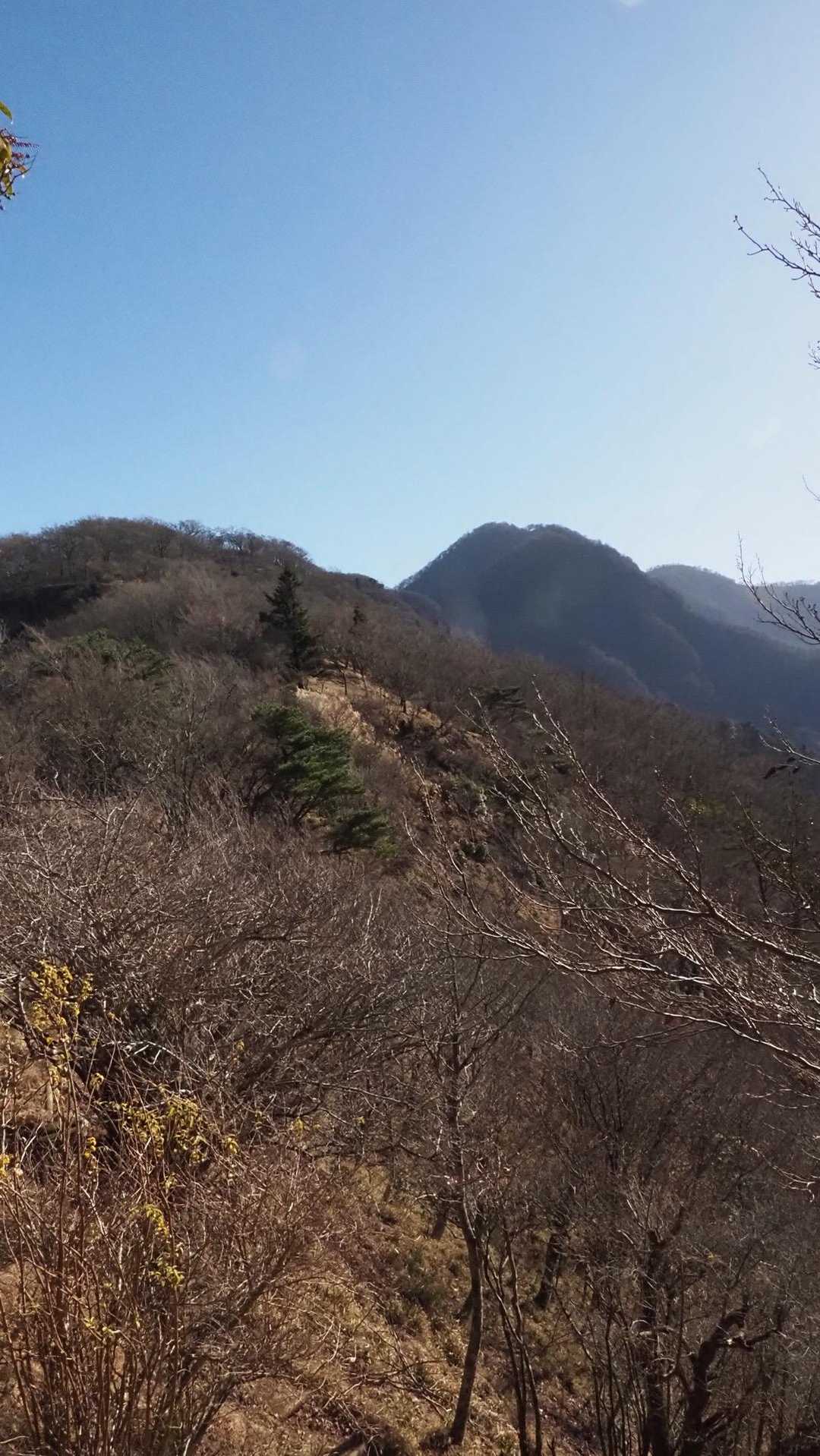 西丹沢縦走（西丹沢VC〜犬越路〜檜洞丸〜箒沢橋） の写真 17