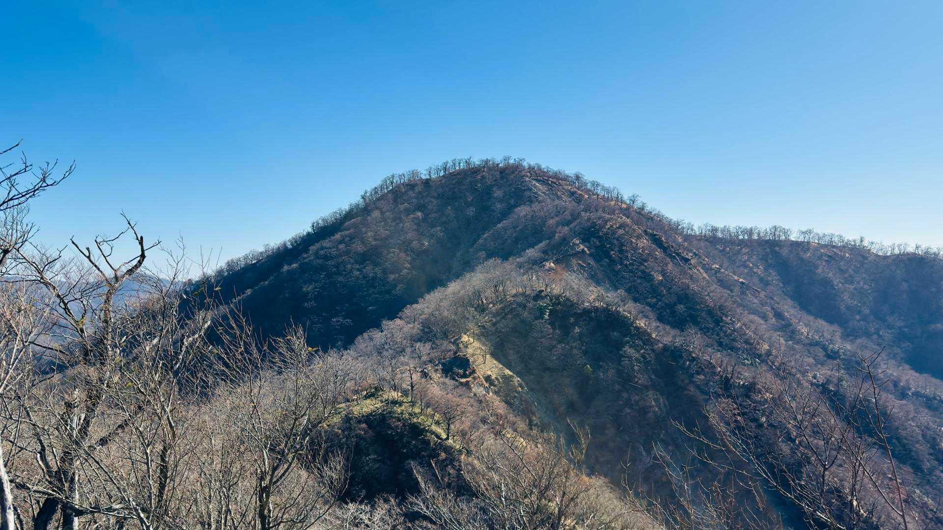 西丹沢縦走（西丹沢VC〜犬越路〜檜洞丸〜箒沢橋） の写真 32