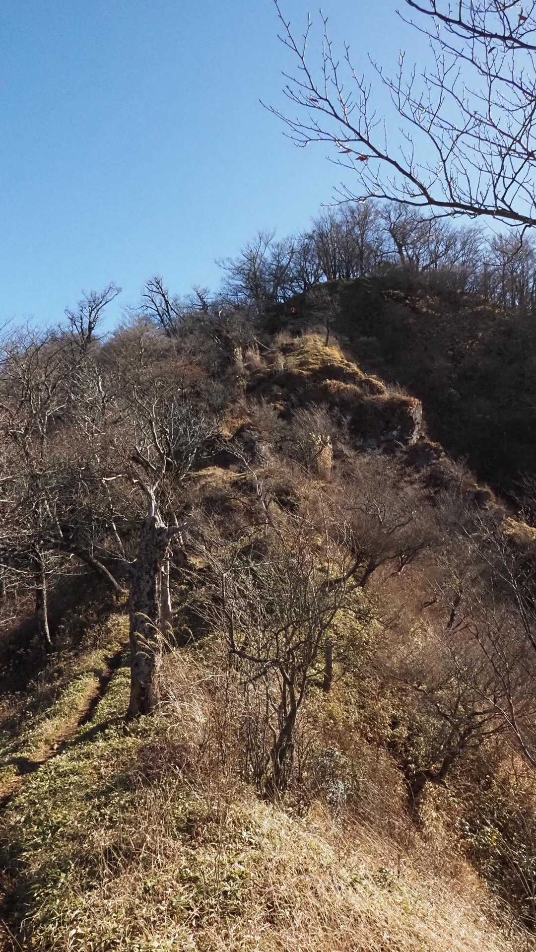 西丹沢縦走（西丹沢VC〜犬越路〜檜洞丸〜箒沢橋） の写真 28