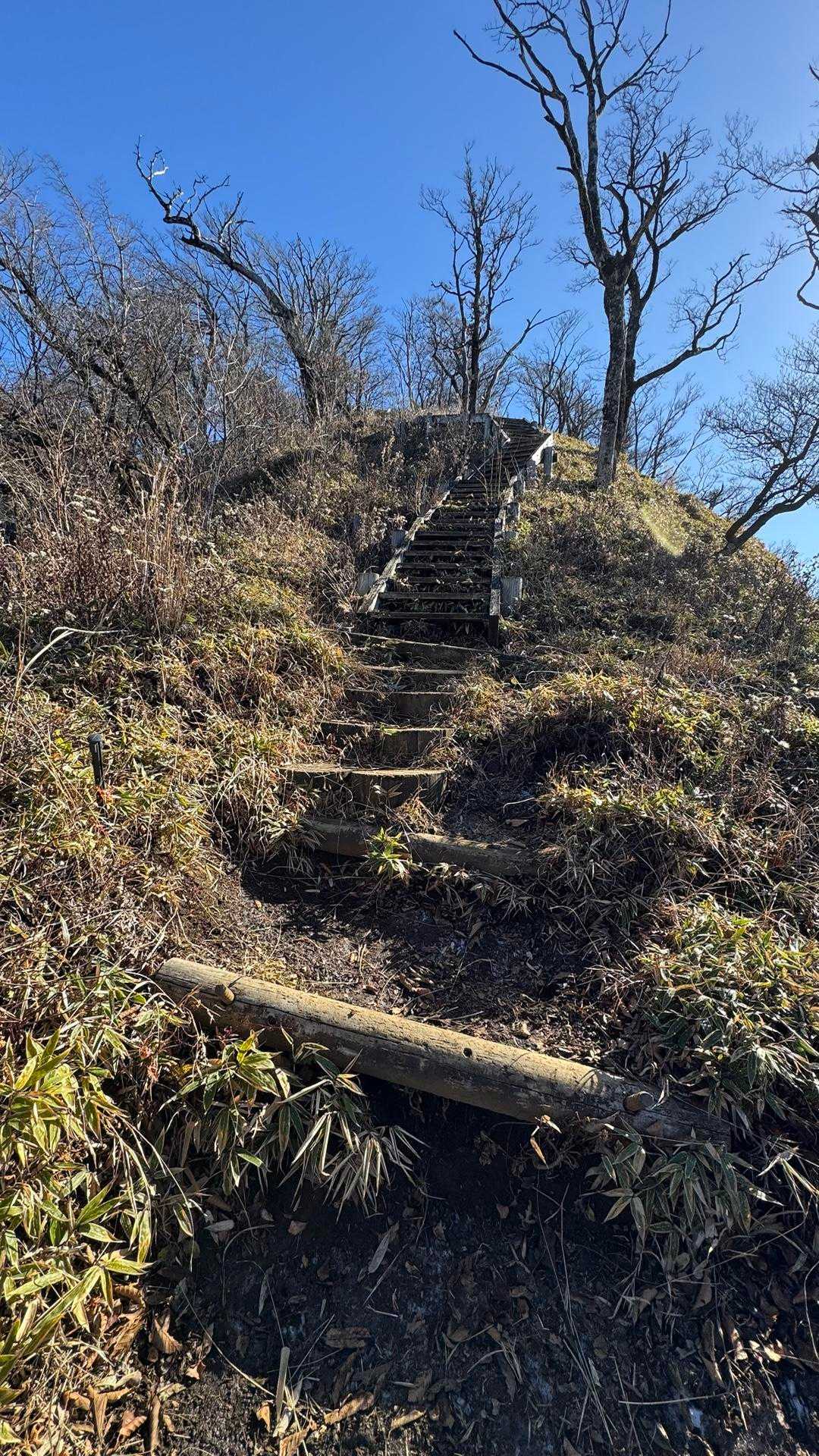 西丹沢縦走（西丹沢VC〜犬越路〜檜洞丸〜箒沢橋） の写真 30