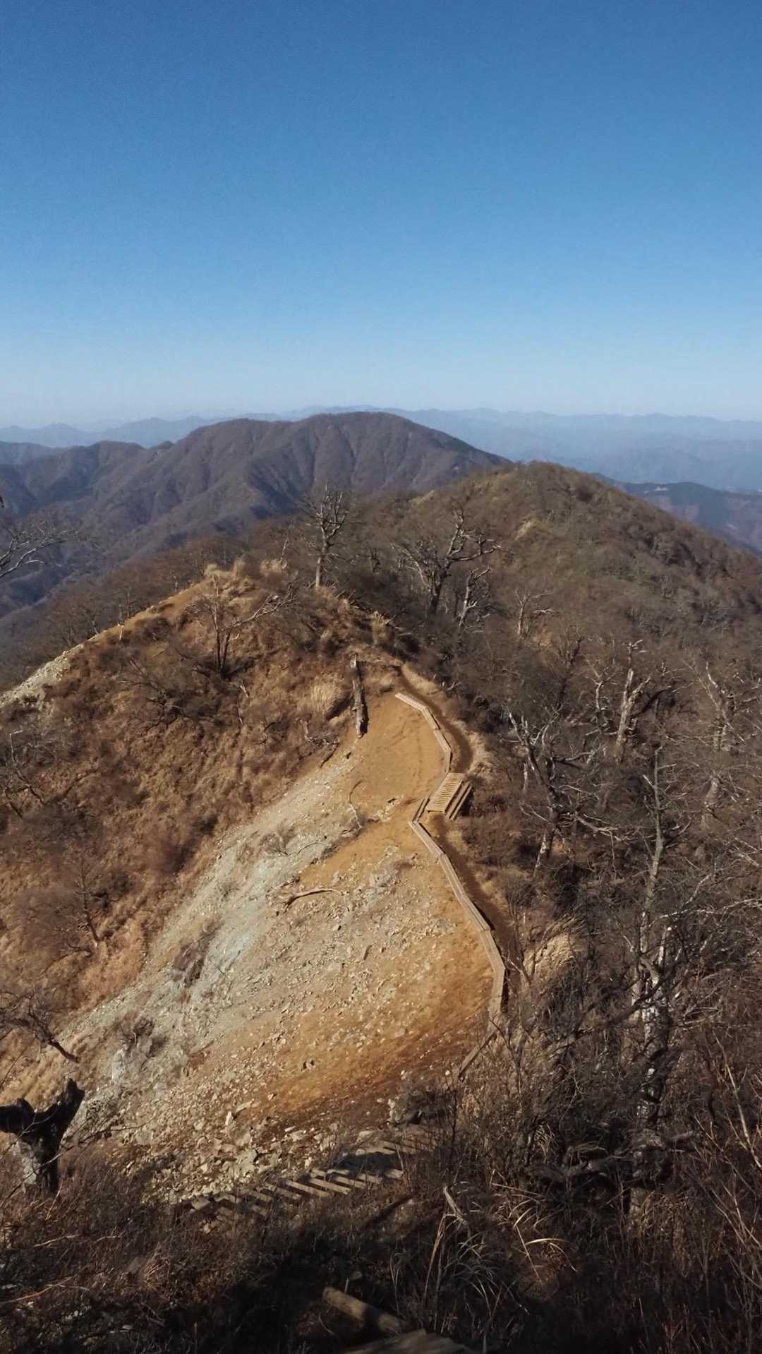 西丹沢縦走（西丹沢VC〜犬越路〜檜洞丸〜箒沢橋） の写真 33