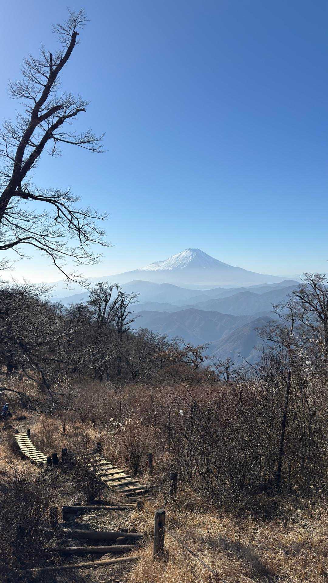 西丹沢縦走（西丹沢VC〜犬越路〜檜洞丸〜箒沢橋） の写真 36