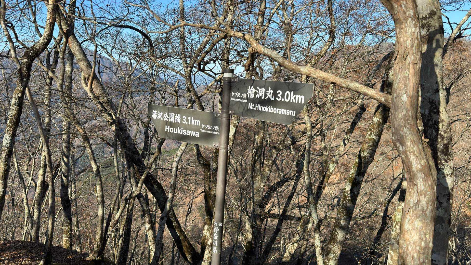 西丹沢縦走（西丹沢VC〜犬越路〜檜洞丸〜箒沢橋） の写真 39