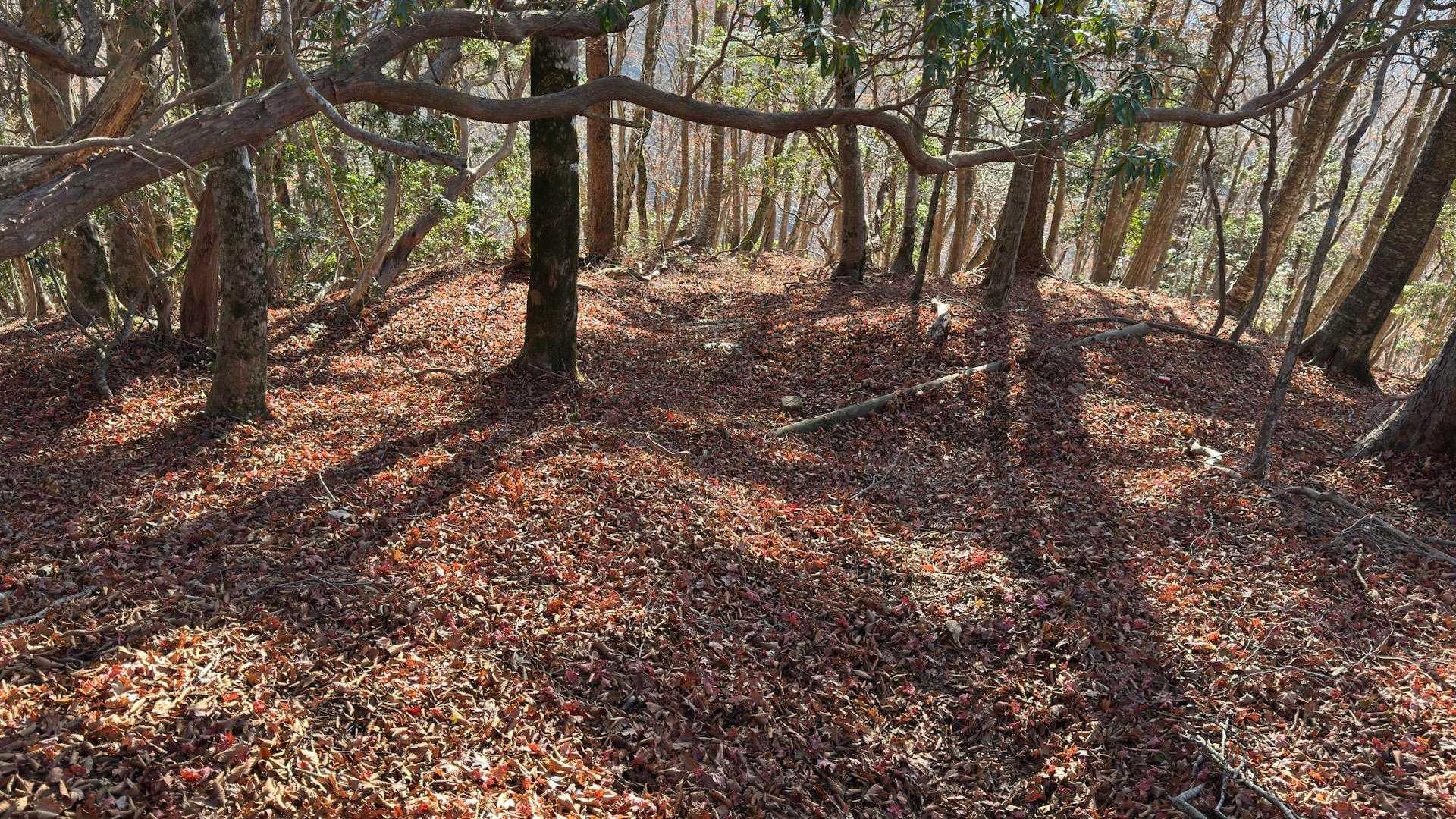 西丹沢縦走（西丹沢VC〜犬越路〜檜洞丸〜箒沢橋） の写真 42