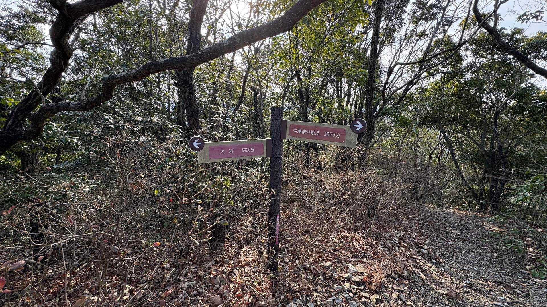 神石山 （知波田駅〜大岩〜神石山〜新所原駅） の写真 4