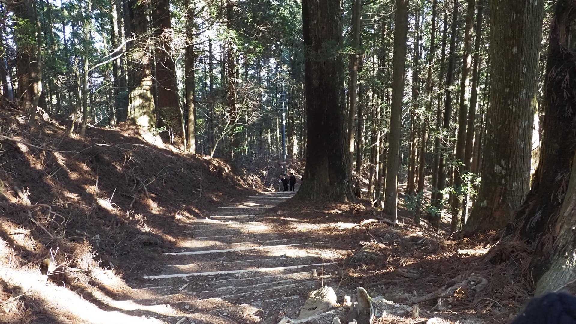 秋葉山上社、元旦🌅初詣⛩️登山🎍 の写真 3