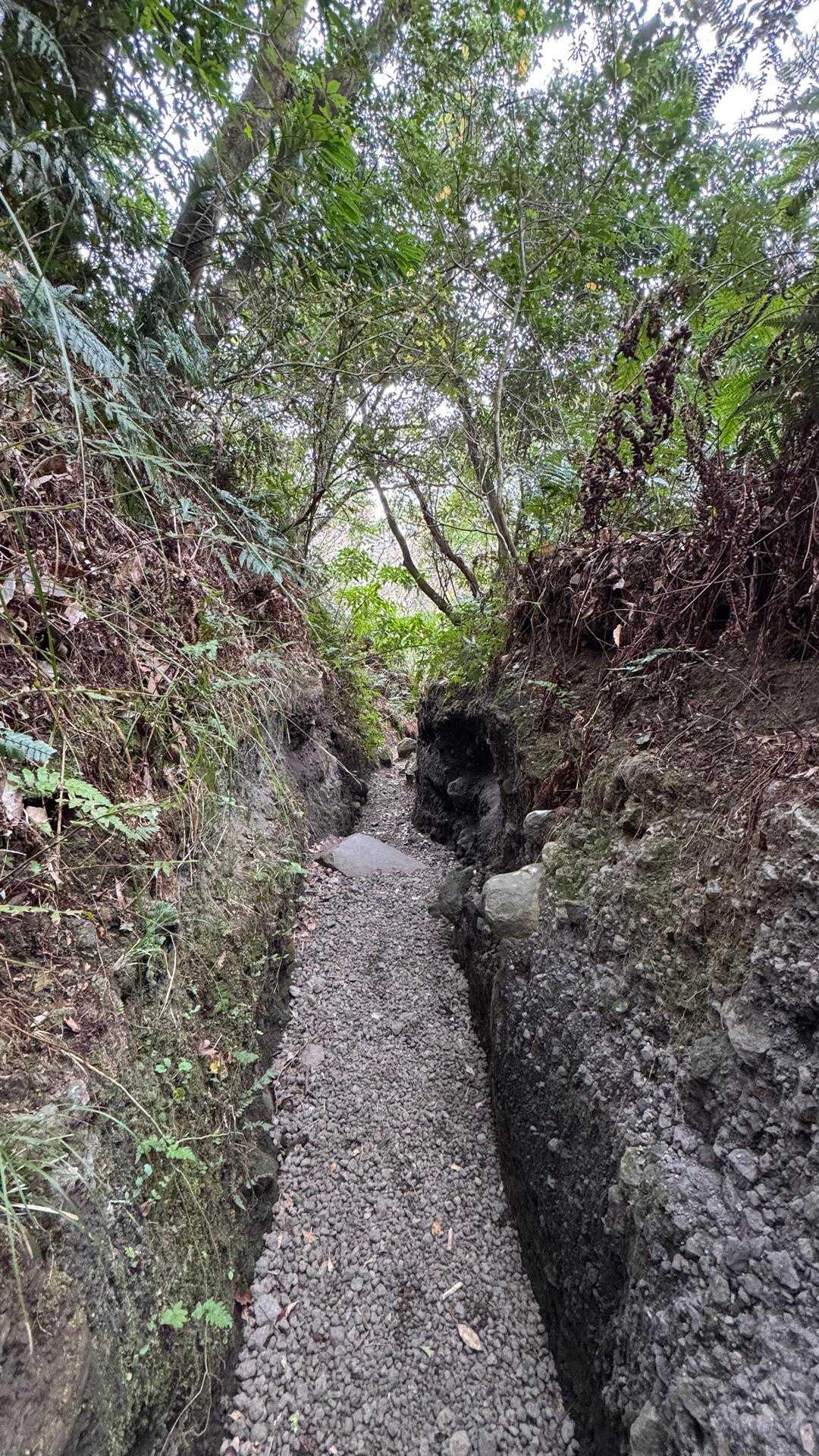 開聞岳、早春の薩摩富士／鹿児島遠征Day1 の写真 16