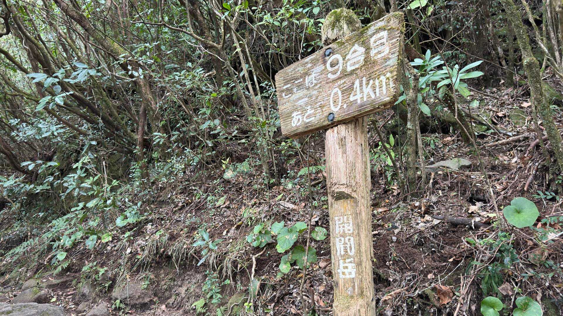 開聞岳、早春の薩摩富士／鹿児島遠征Day1 の写真 13