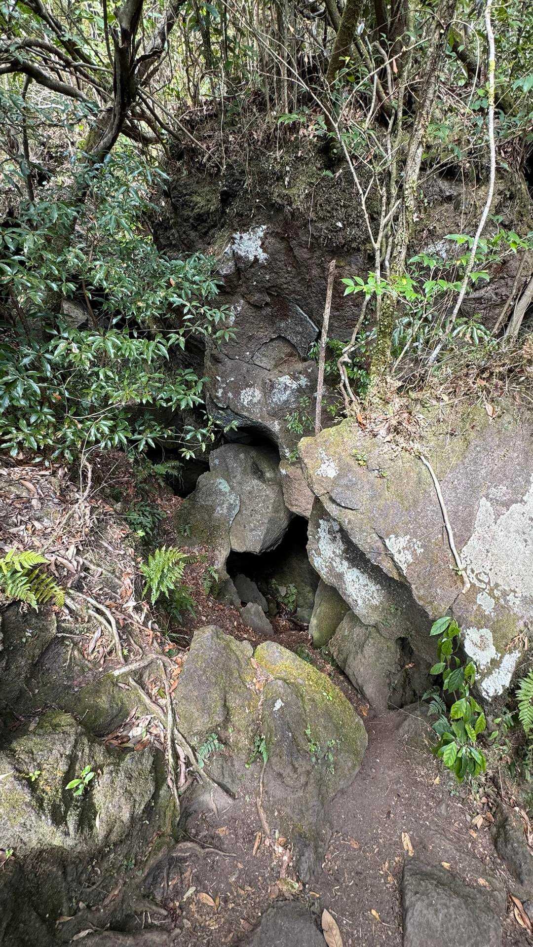 開聞岳、早春の薩摩富士／鹿児島遠征Day1 の写真 11