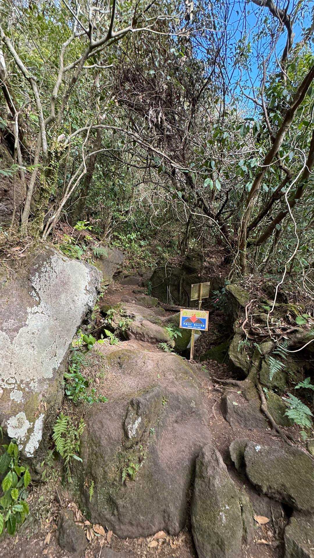開聞岳、早春の薩摩富士／鹿児島遠征Day1 の写真 12