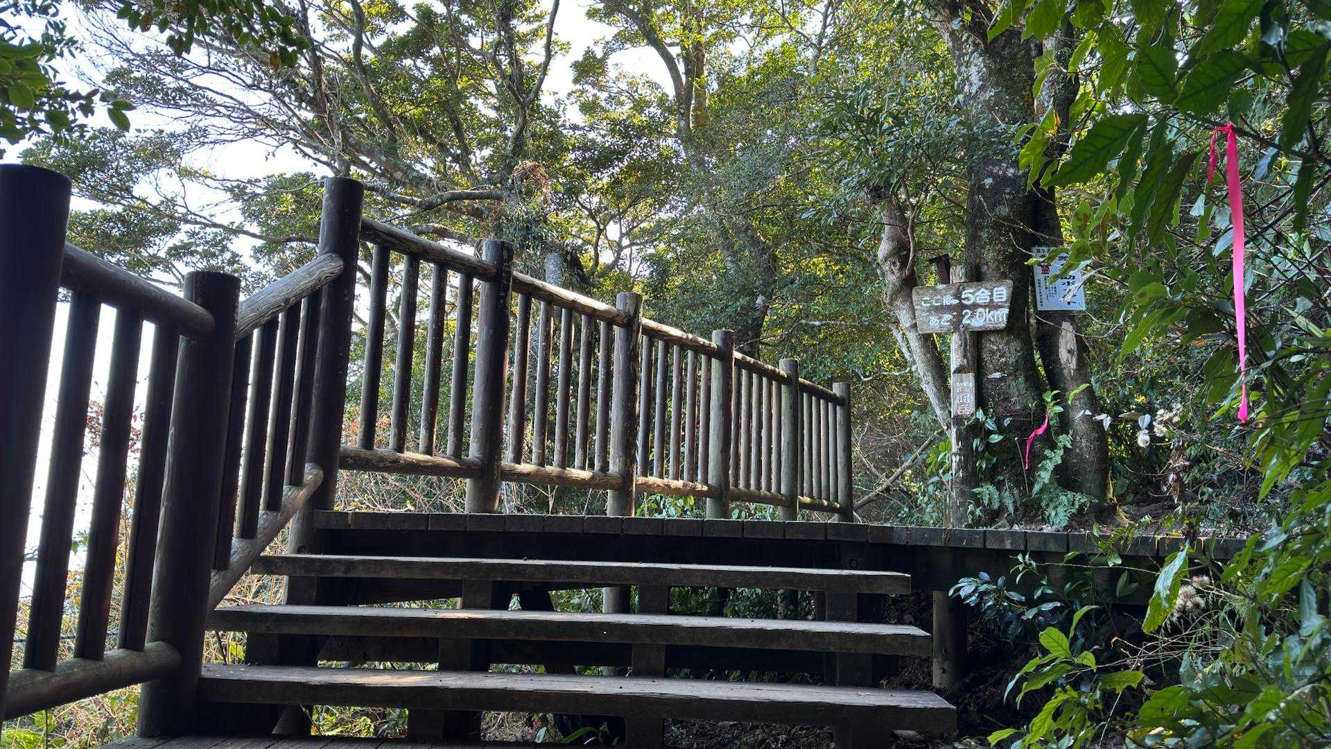 開聞岳、早春の薩摩富士／鹿児島遠征Day1 の写真 7