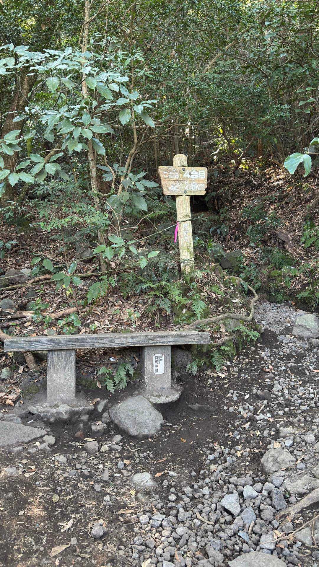 開聞岳、早春の薩摩富士／鹿児島遠征Day1 の写真 6