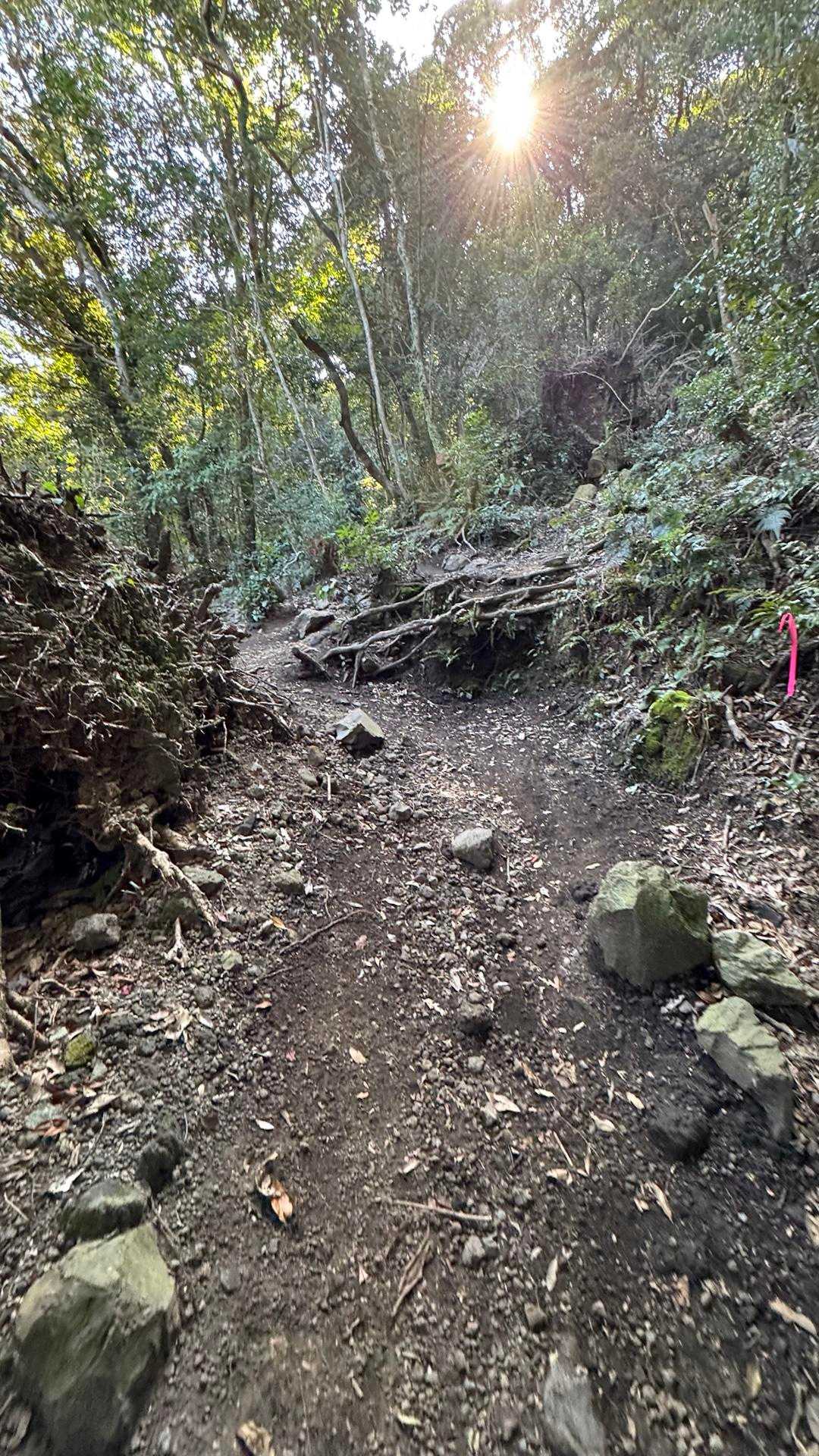 開聞岳、早春の薩摩富士／鹿児島遠征Day1 の写真 5