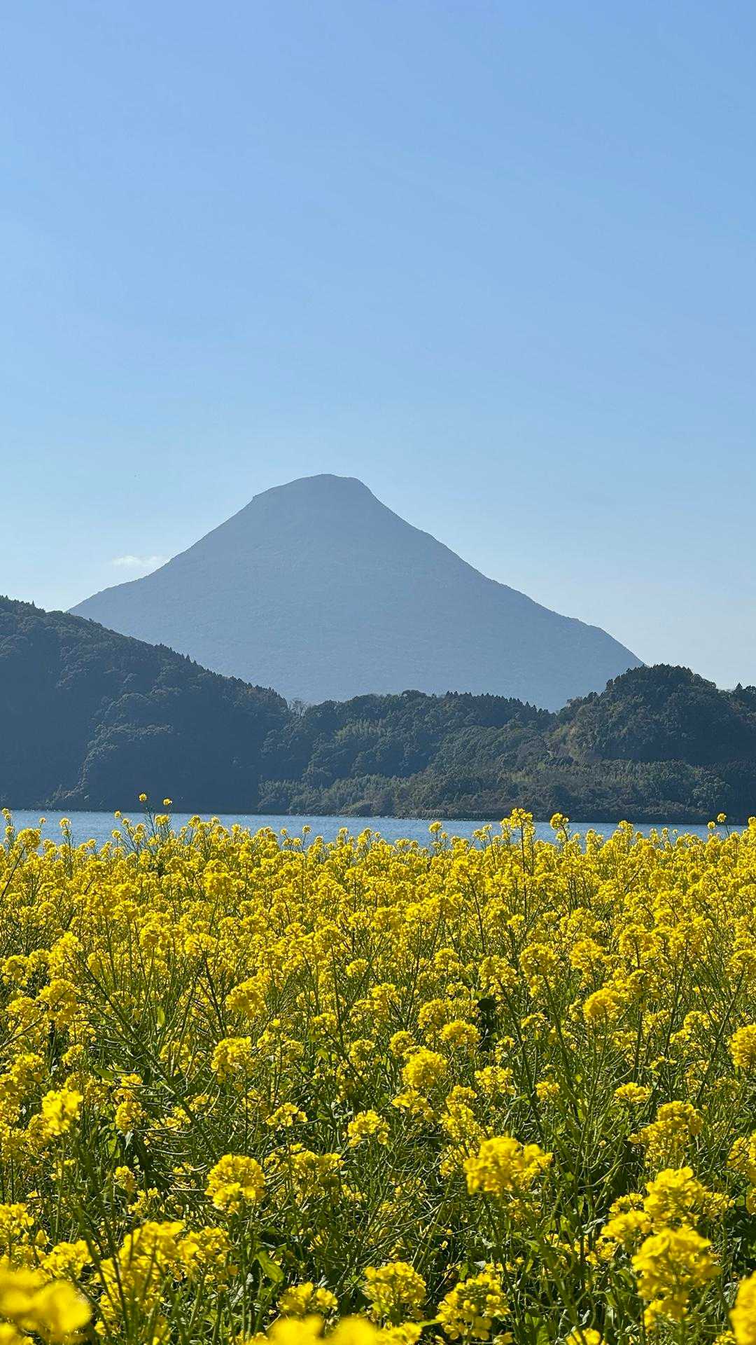 開聞岳、早春の薩摩富士／鹿児島遠征Day1 の写真 2