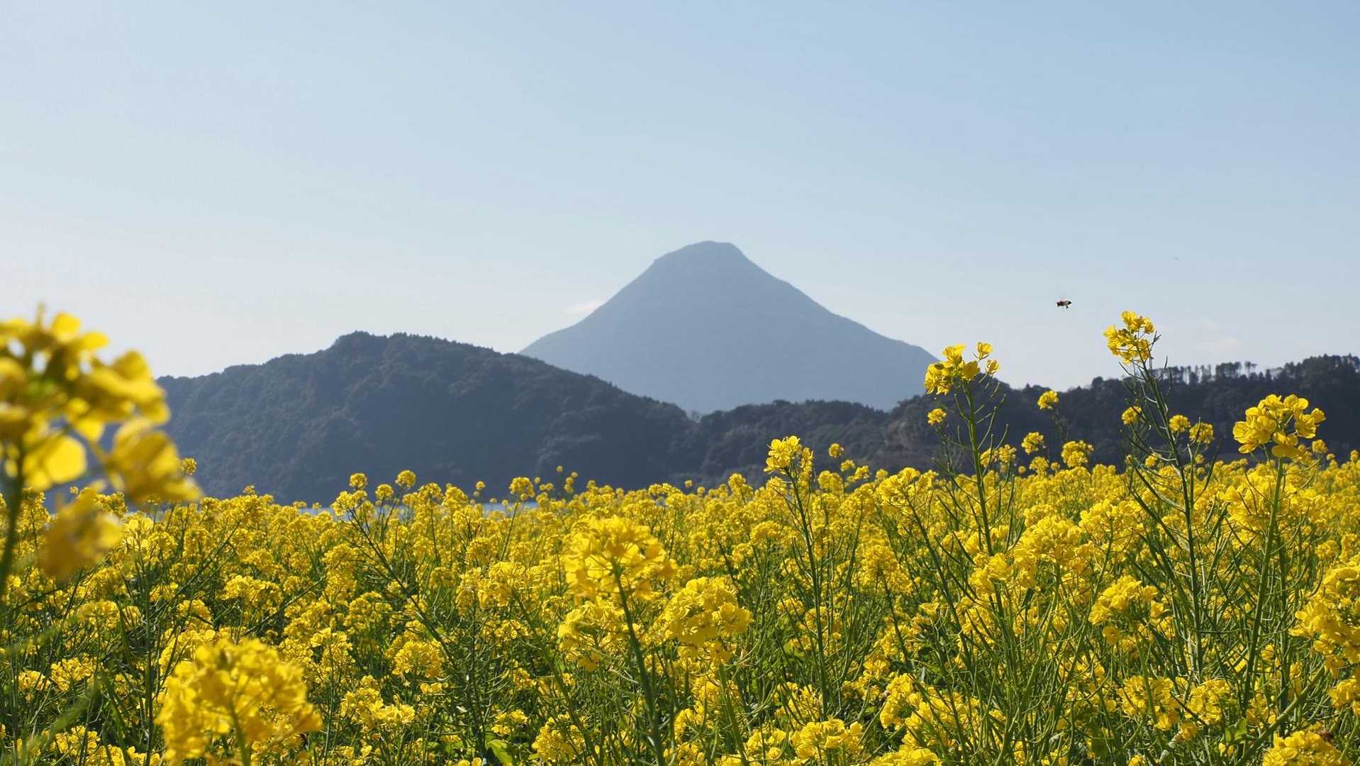 開聞岳、早春の薩摩富士／鹿児島遠征Day1 の写真 1