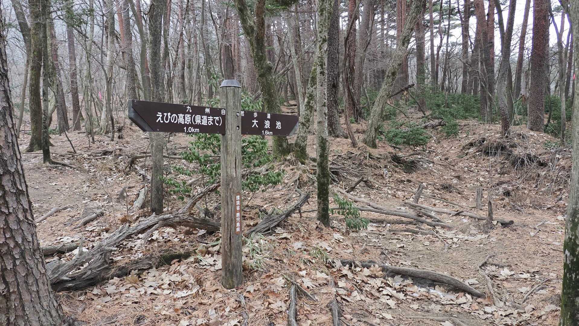 韓国岳（霧島山）・大浪池周回／鹿児島遠征Day2 の写真 6