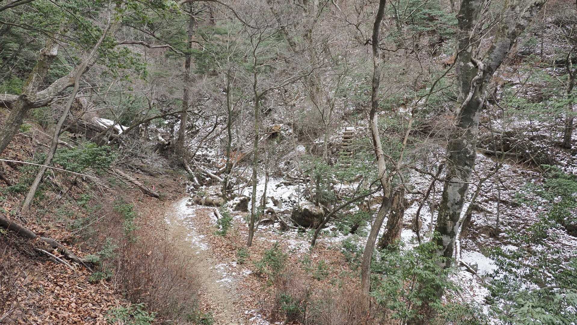 韓国岳（霧島山）・大浪池周回／鹿児島遠征Day2 の写真 7