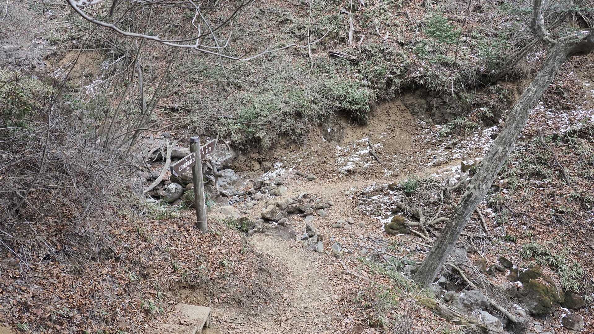 韓国岳（霧島山）・大浪池周回／鹿児島遠征Day2 の写真 8