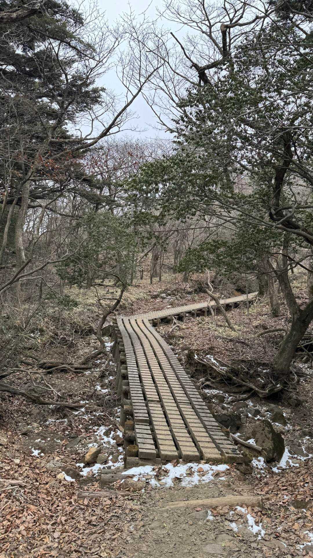韓国岳（霧島山）・大浪池周回／鹿児島遠征Day2 の写真 10