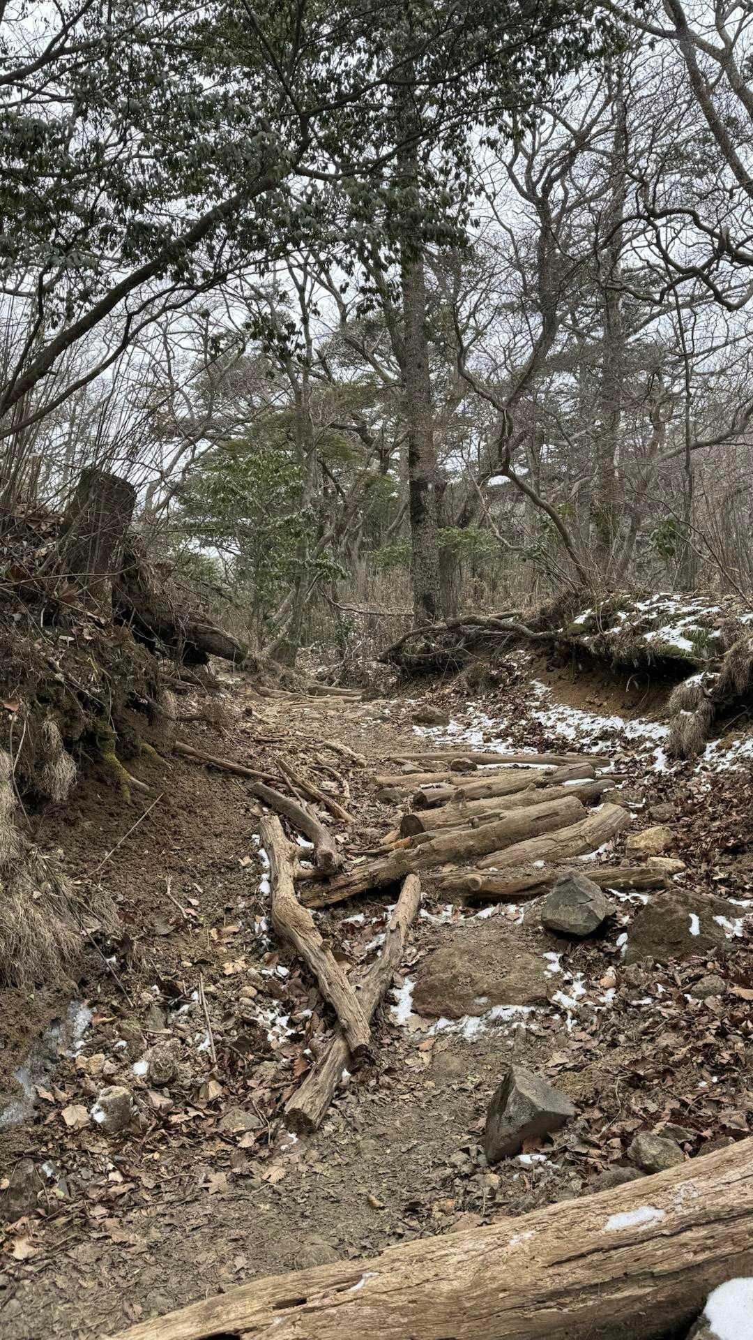 韓国岳（霧島山）・大浪池周回／鹿児島遠征Day2 の写真 9