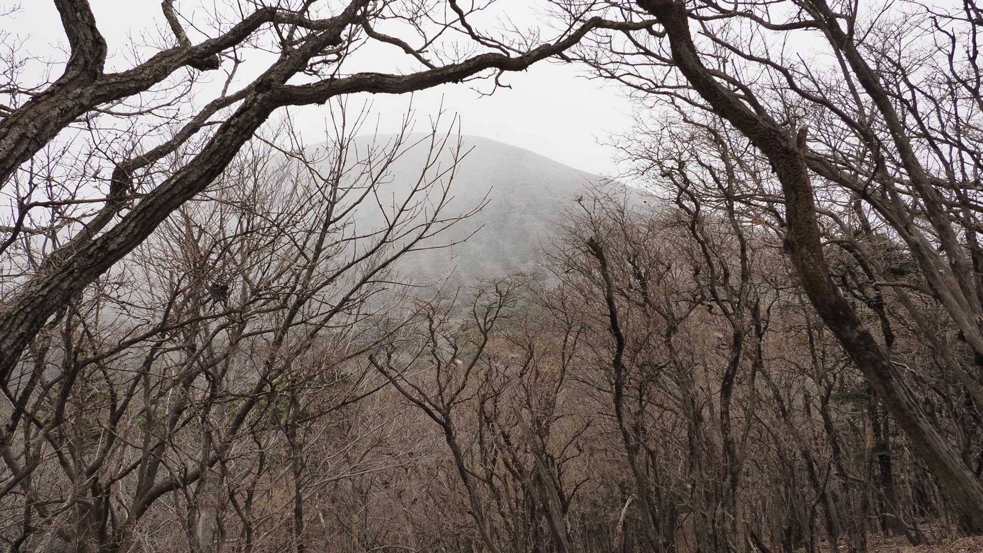 韓国岳（霧島山）・大浪池周回／鹿児島遠征Day2 の写真 12