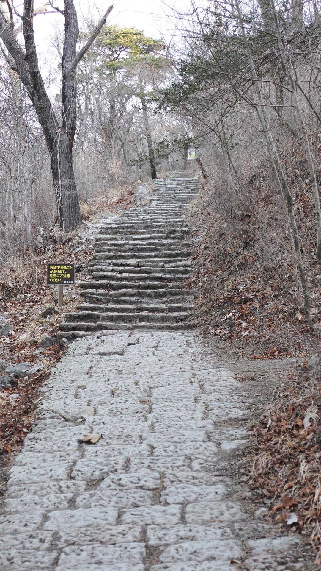高千穂峰、天孫降臨の峰へ／鹿児島遠征Day3 の写真 4