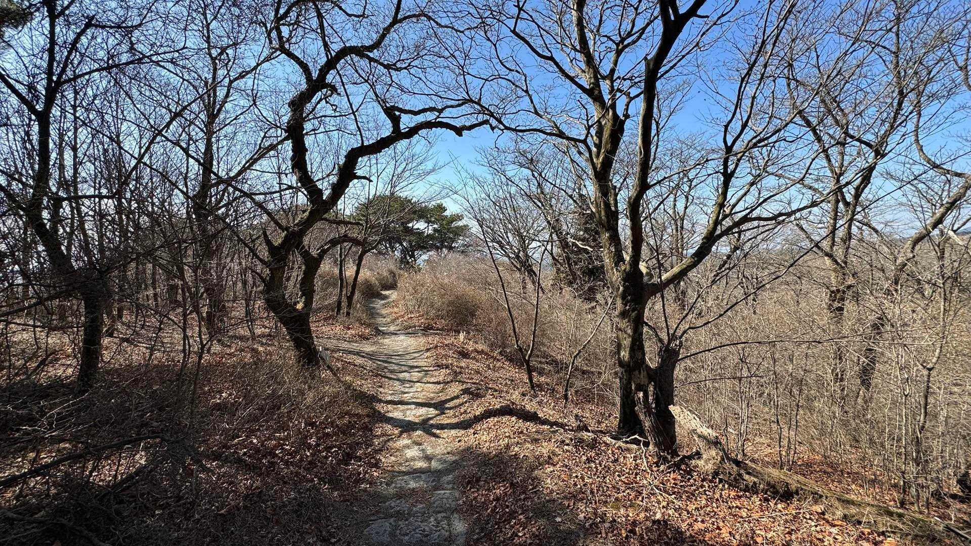 高千穂峰、天孫降臨の峰へ／鹿児島遠征Day3 の写真 22