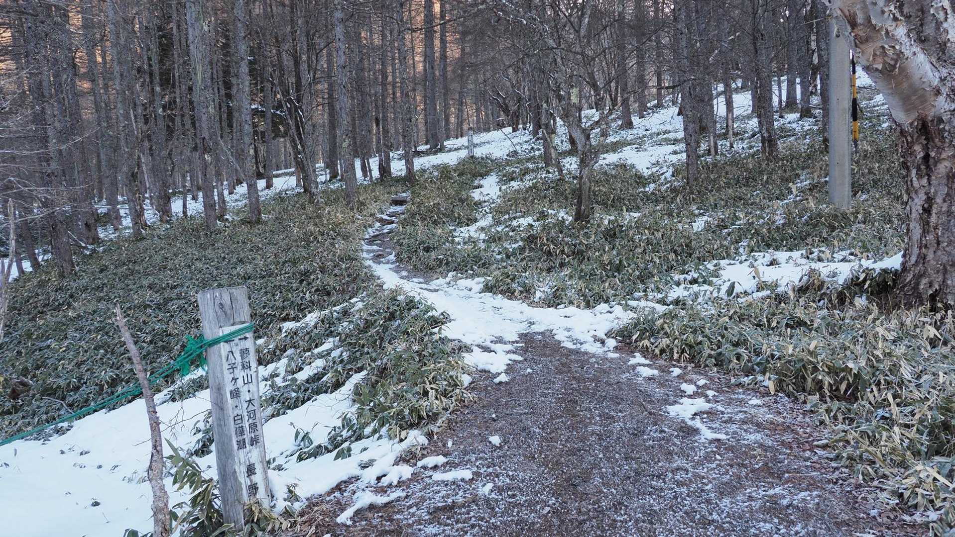 冬の蓼科山 ❄️🌬️⛅️ の写真 2