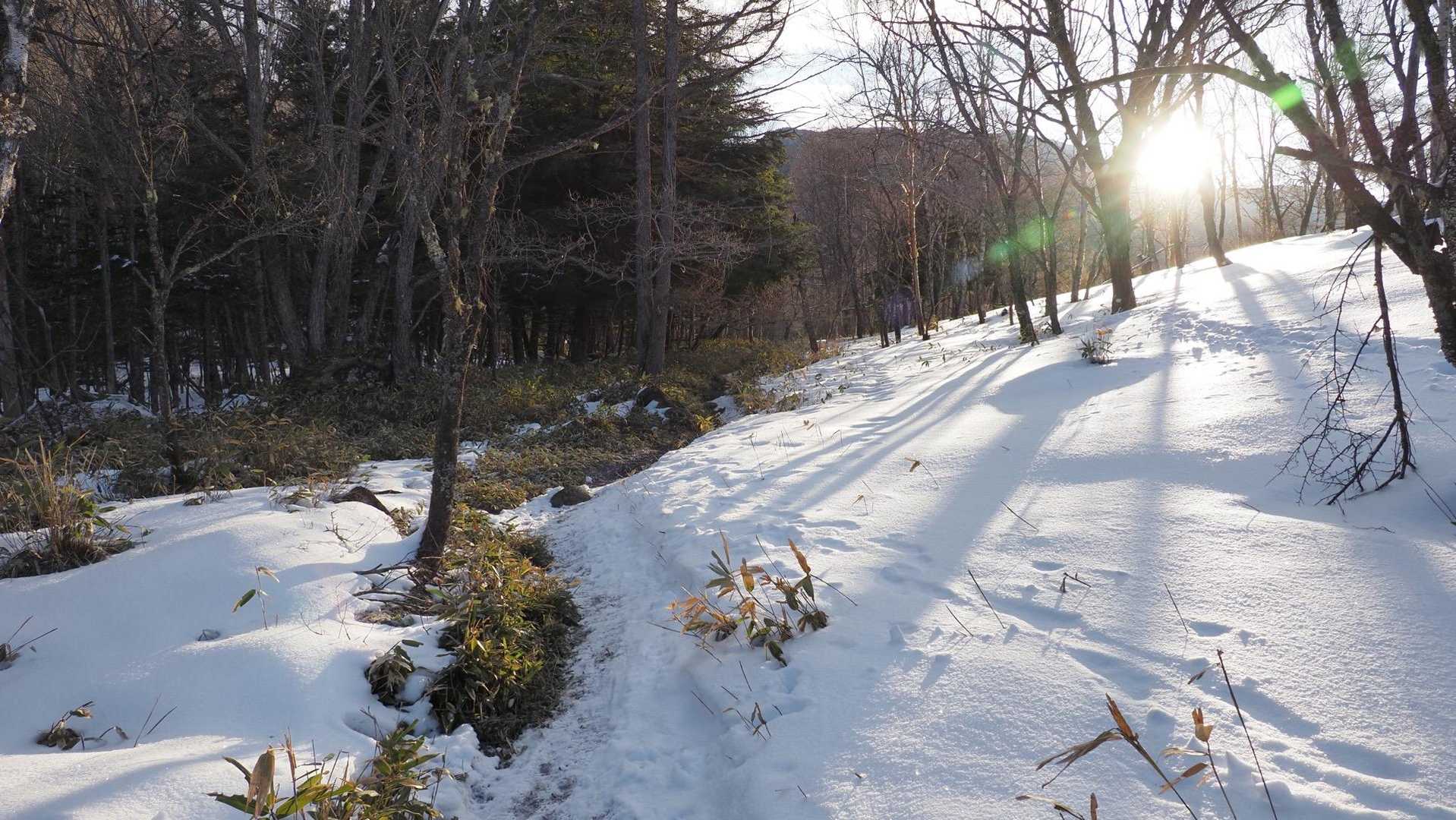 冬の蓼科山 ❄️🌬️⛅️ の写真 3