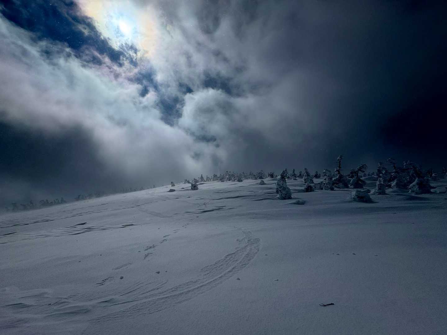 西吾妻山、スノーシューハイク の写真 16