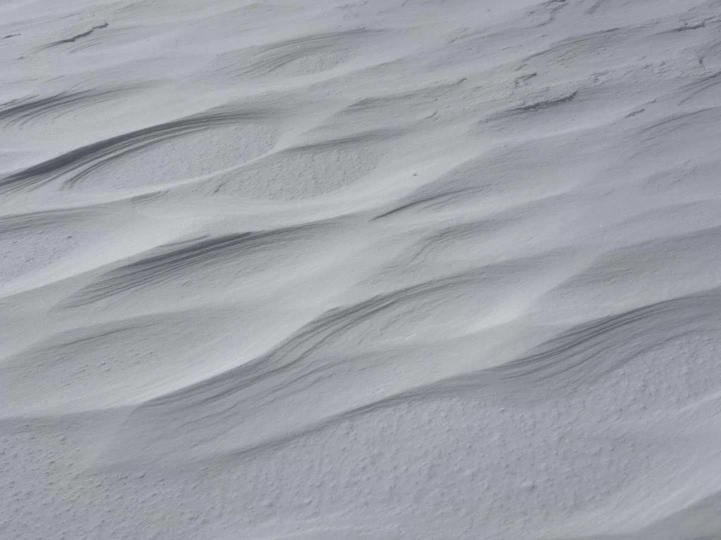 西吾妻山、スノーシューハイク の写真 13
