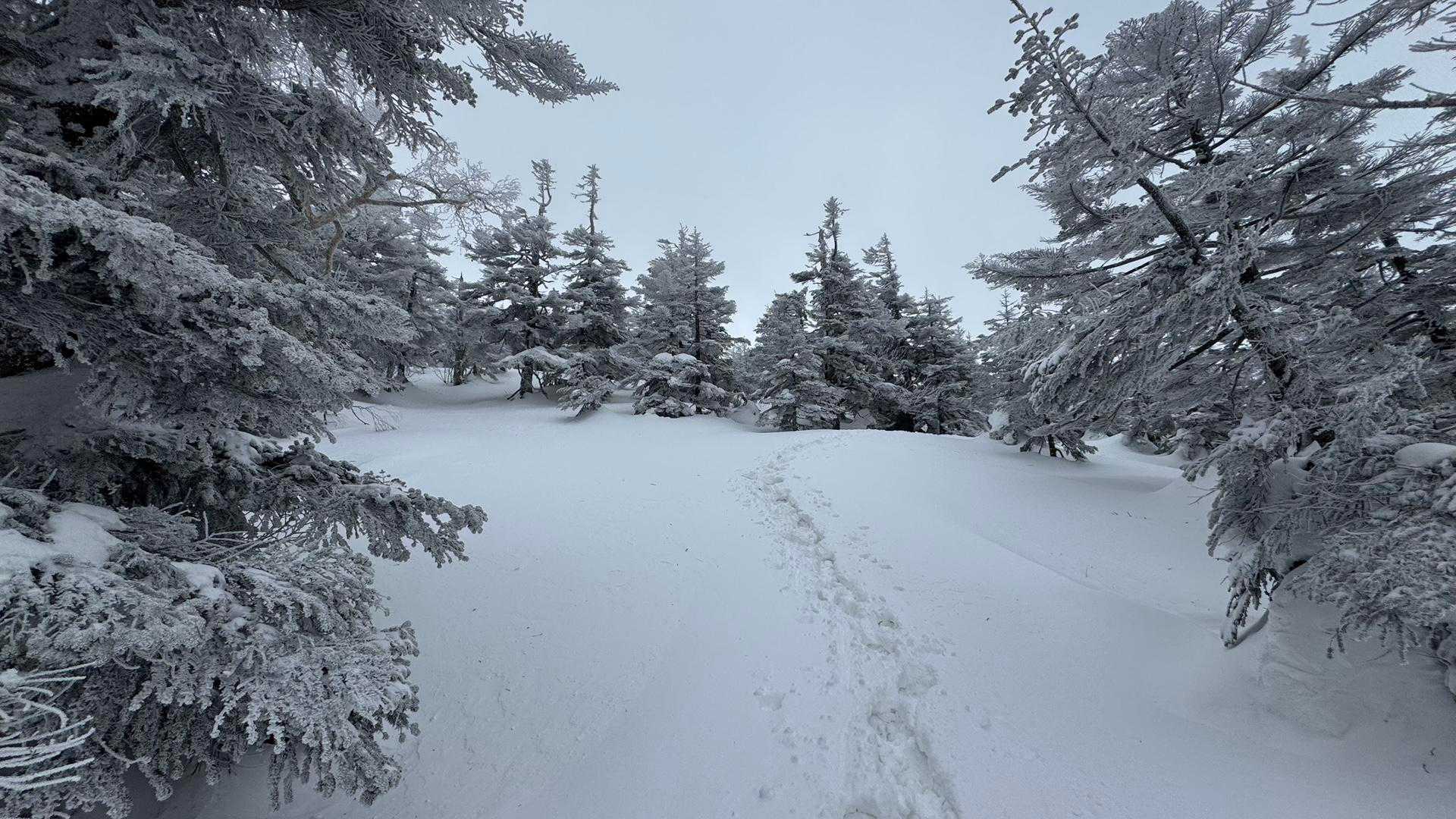 西吾妻山、スノーシューハイク の写真 2