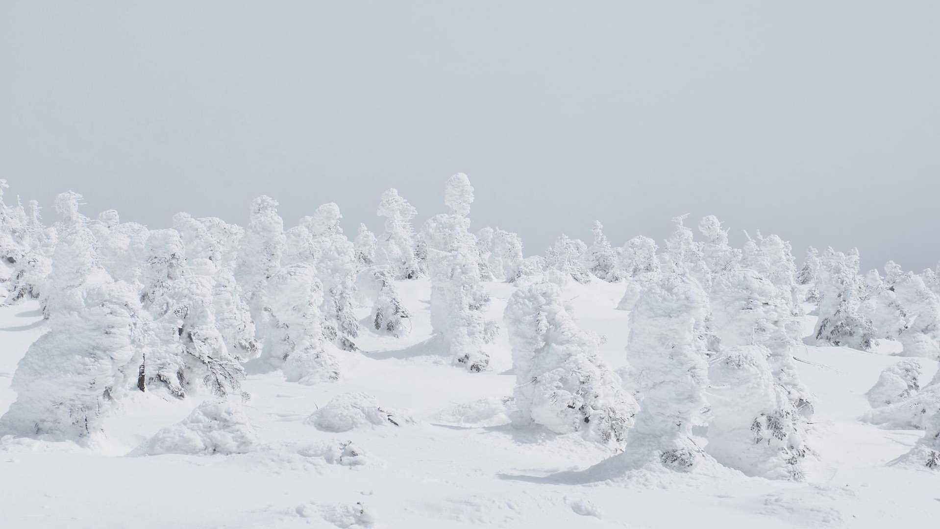 西吾妻山、スノーシューハイク の写真 21