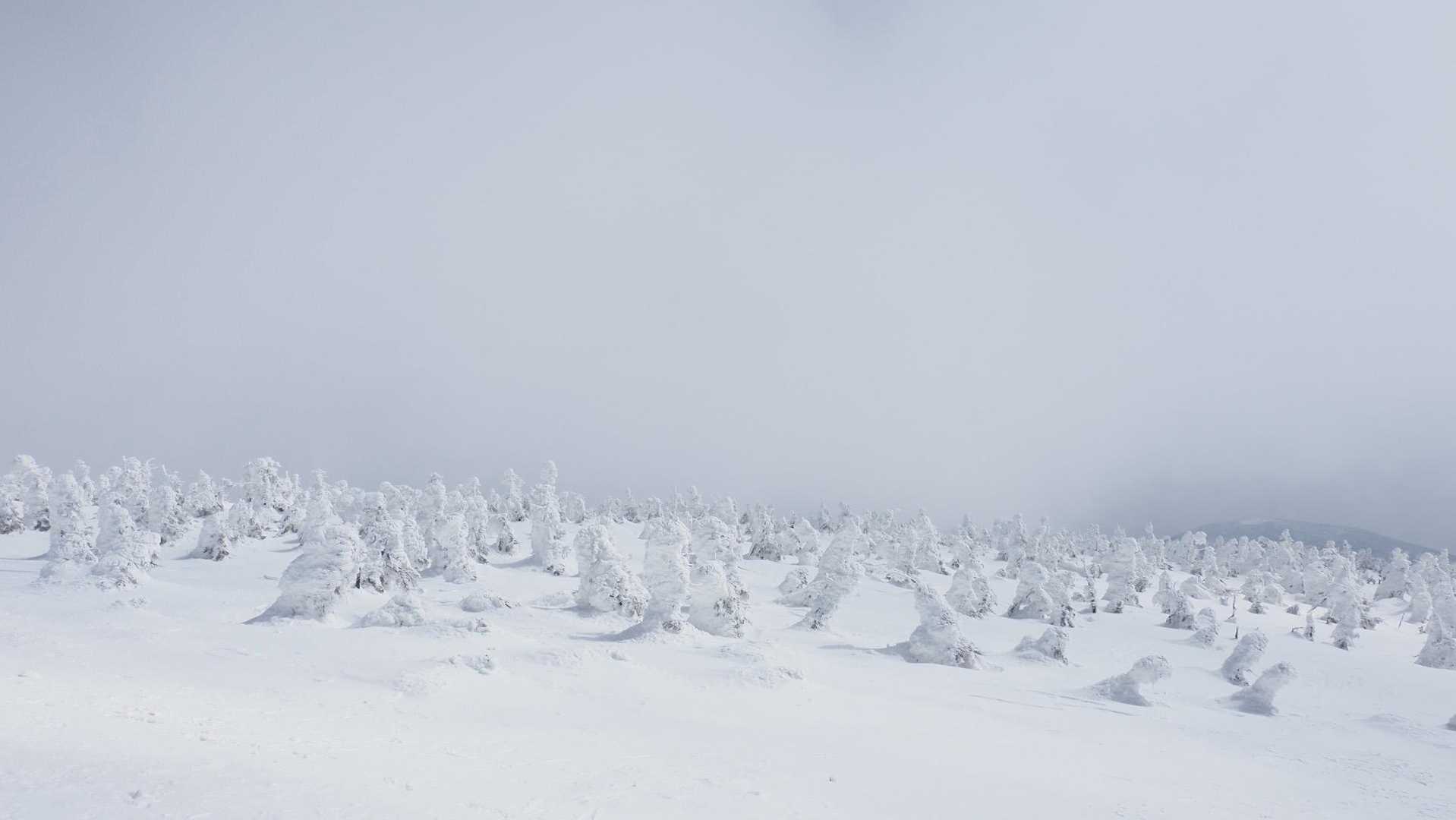 西吾妻山、スノーシューハイク の写真 20