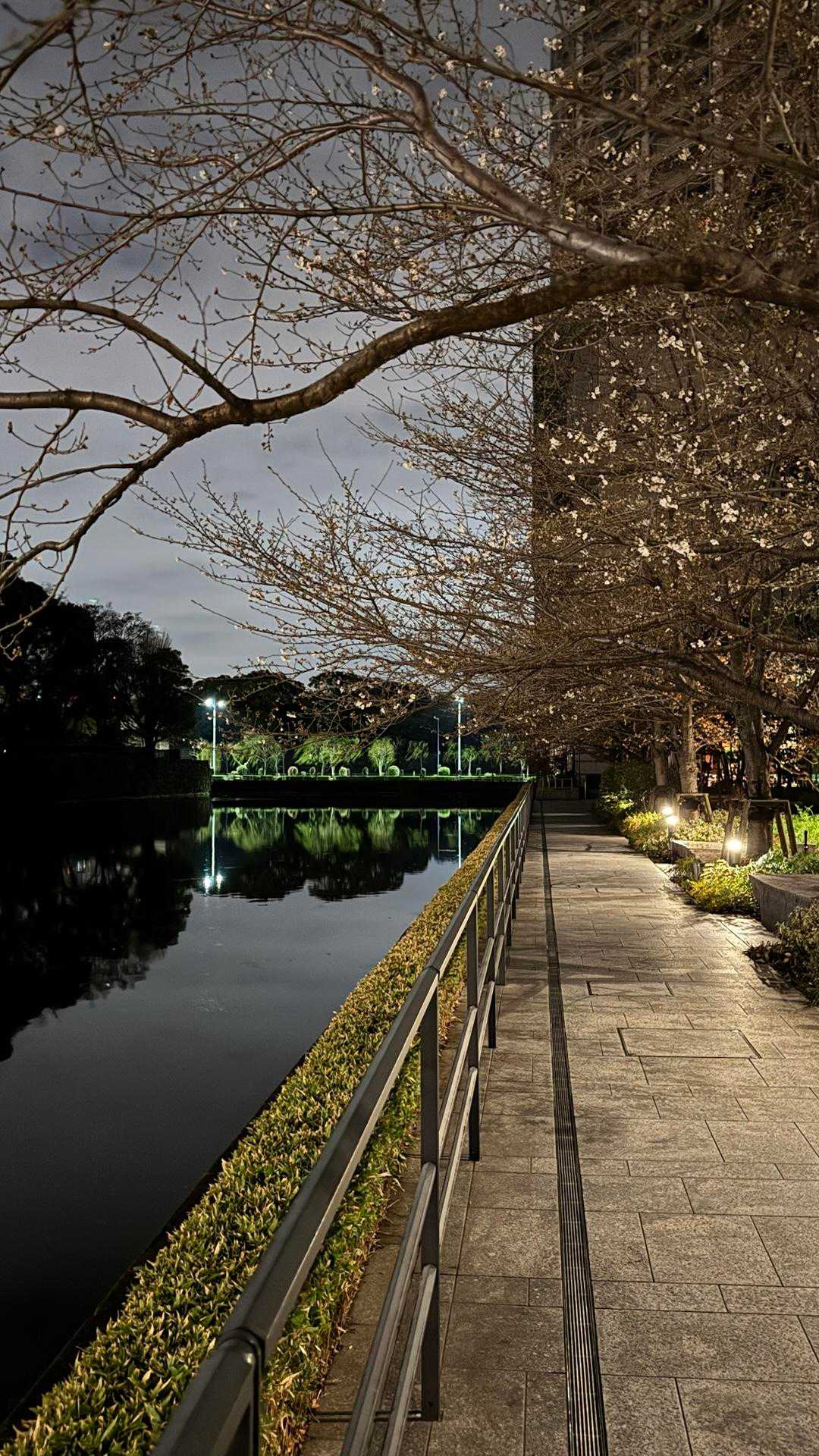 深夜ウォーキング（晴海〜南浦和） の写真 4