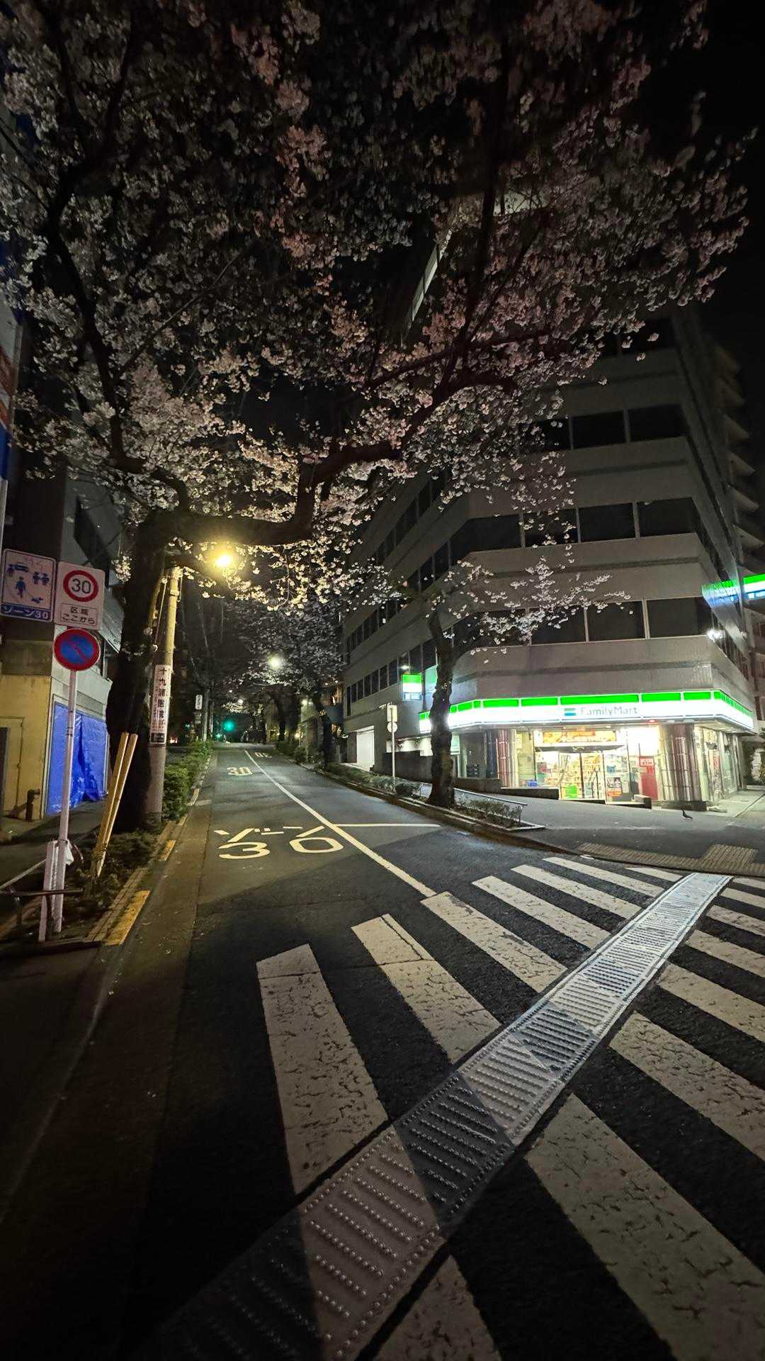 深夜ウォーキング（晴海〜南浦和） の写真 6