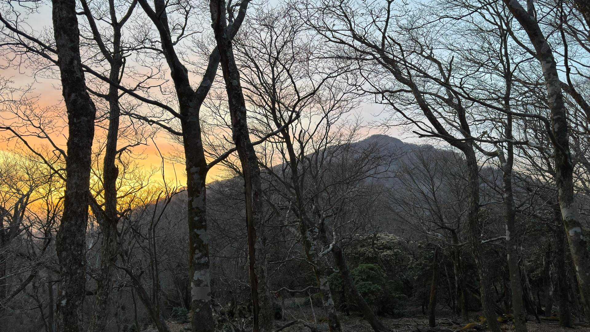 祖母山、朝駆け の写真 7