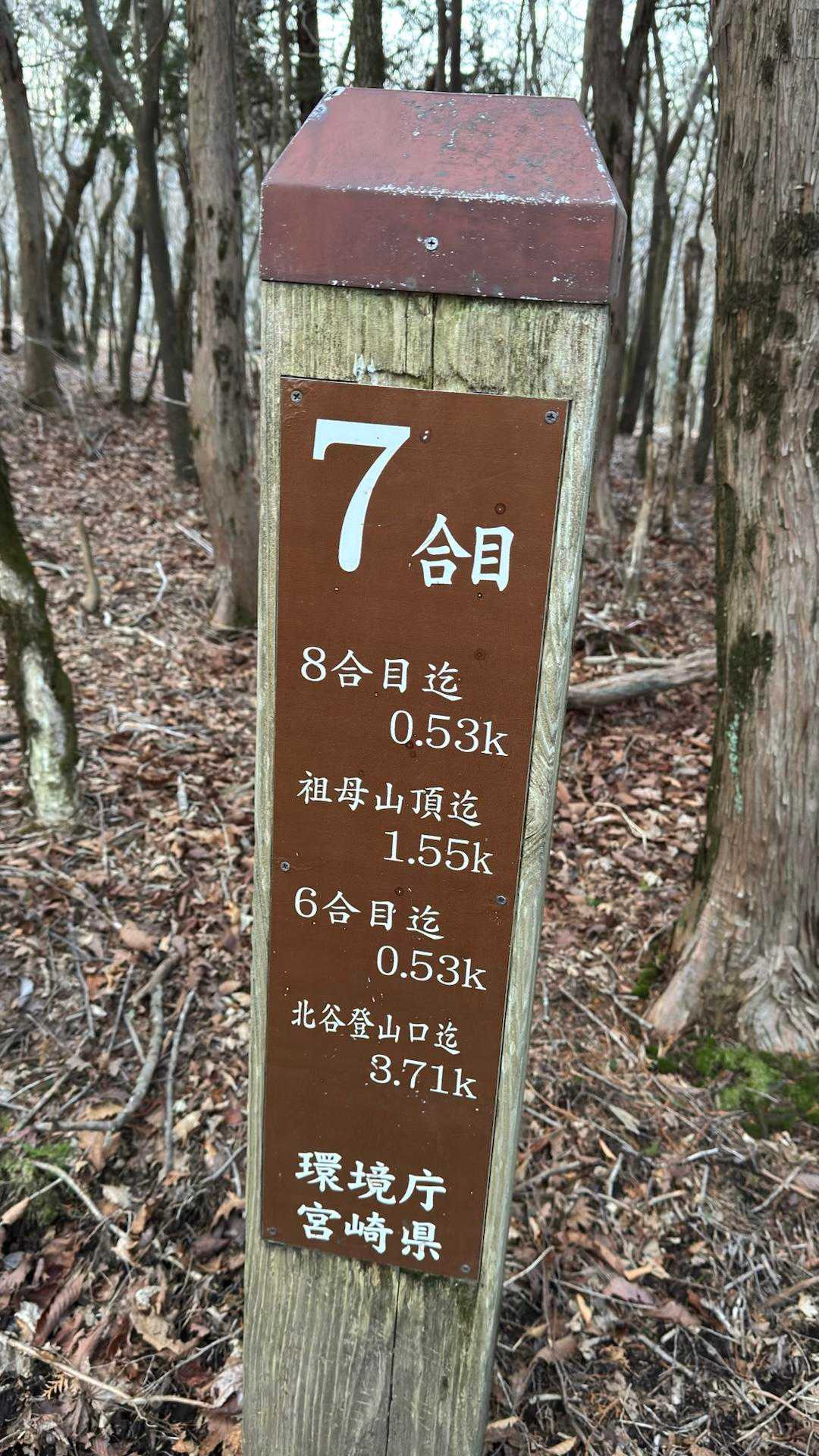 祖母山、朝駆け の写真 8