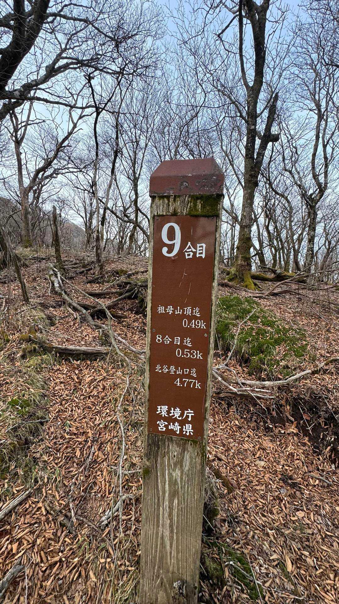 祖母山、朝駆け の写真 11