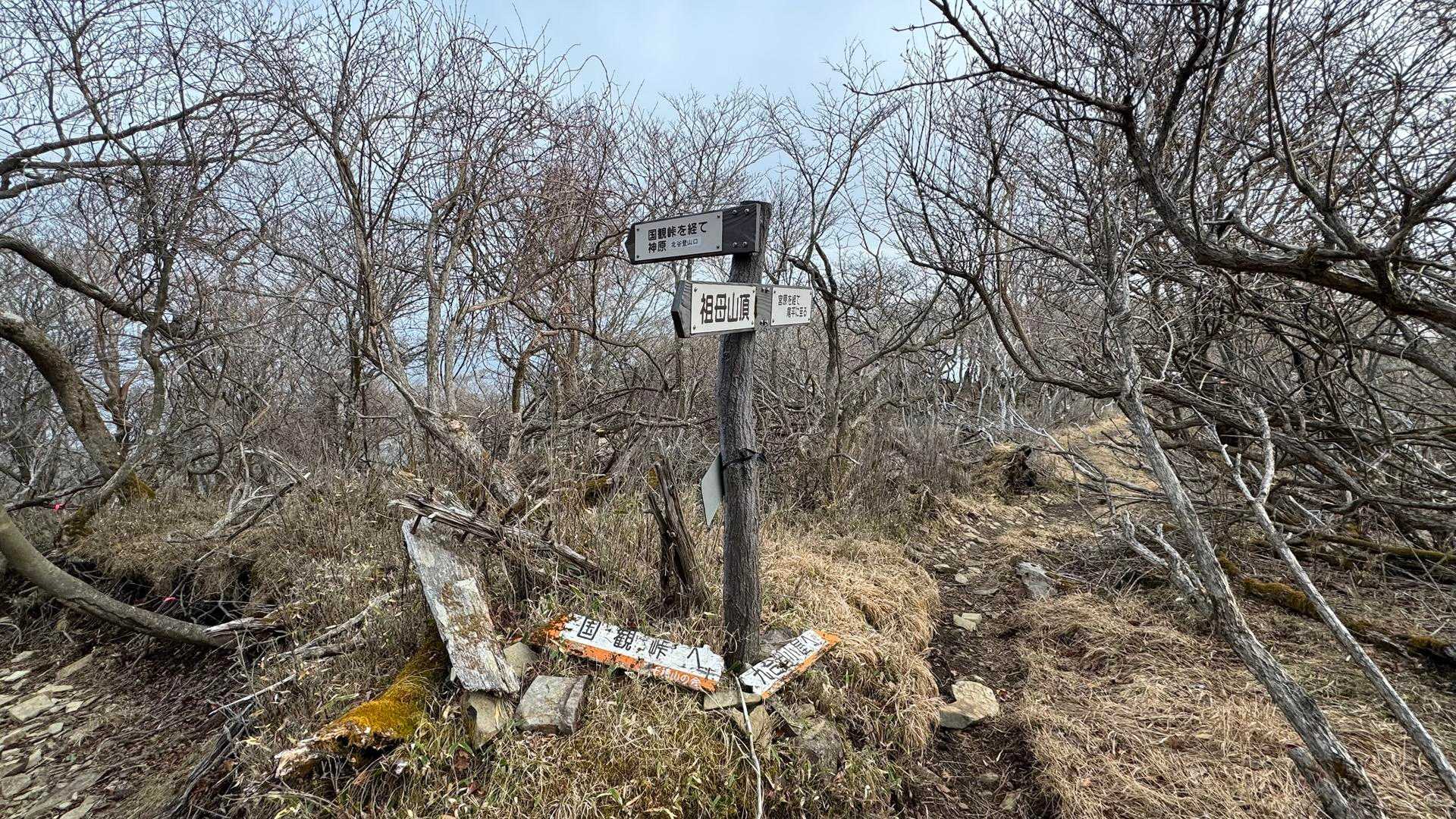 祖母山、朝駆け の写真 12