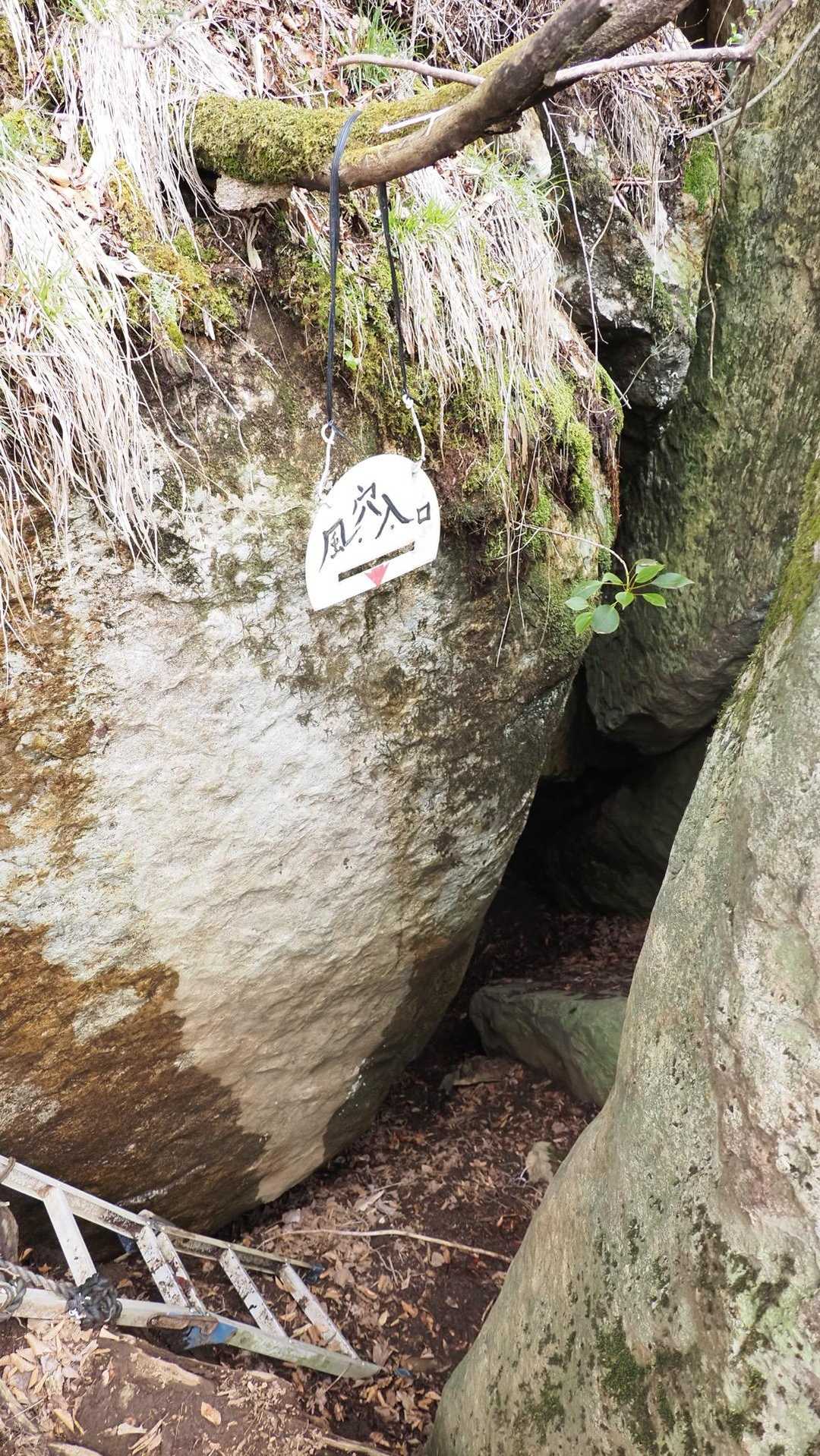 祖母山、朝駆け の写真 24
