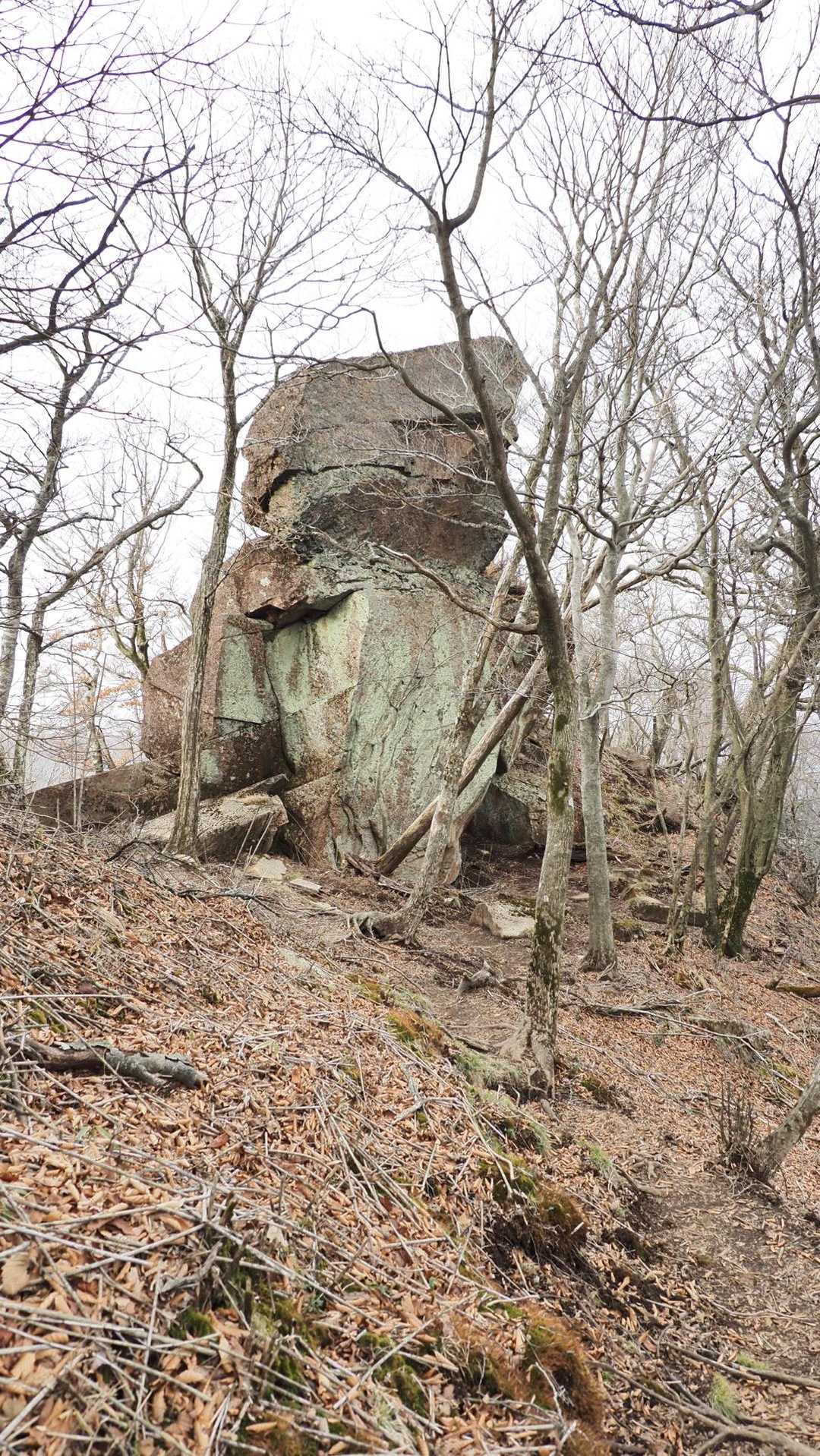 祖母山、朝駆け の写真 22